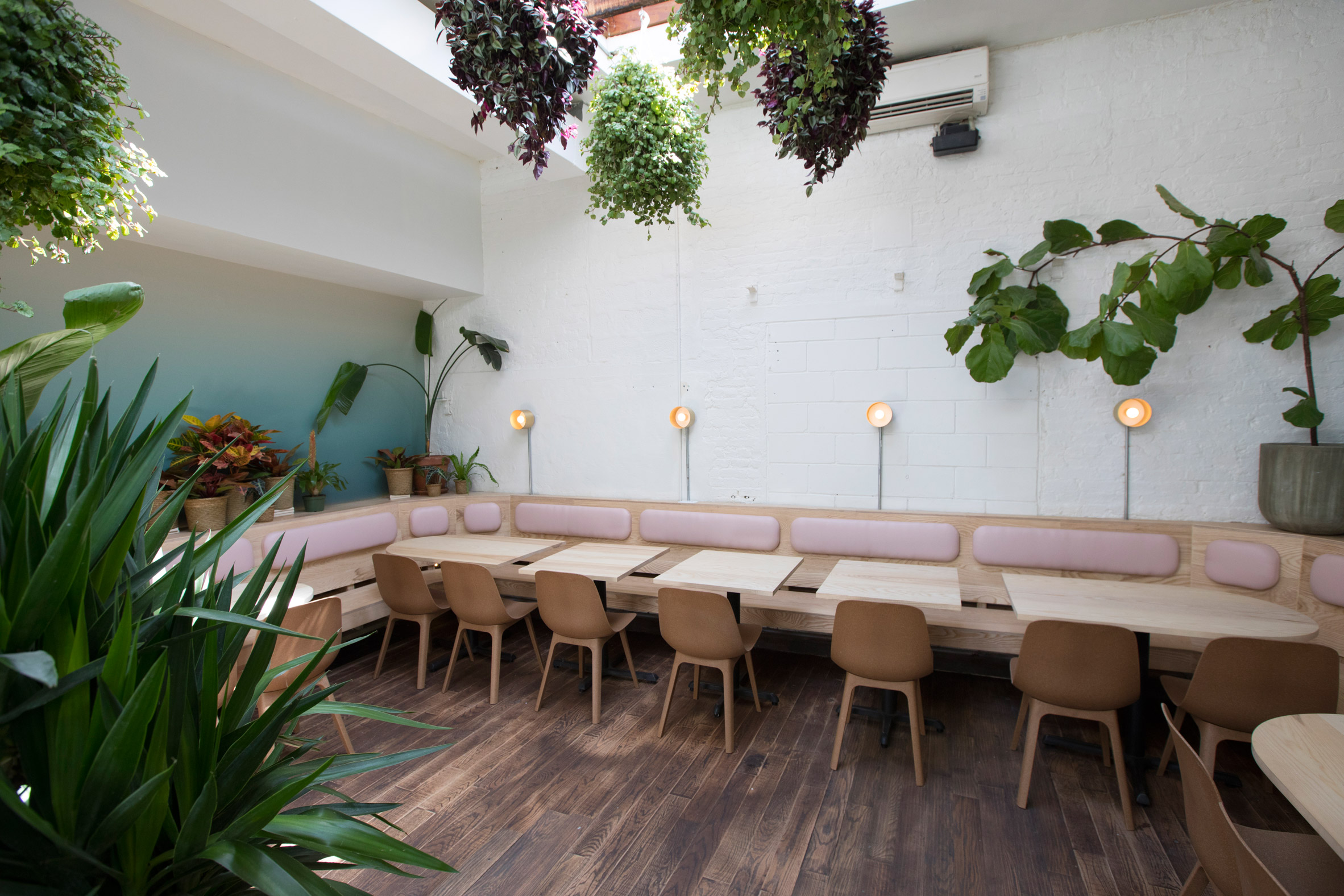 Di An Di restaurant in Brooklyn serves Vietnamese cuisine in plant-filled spaces