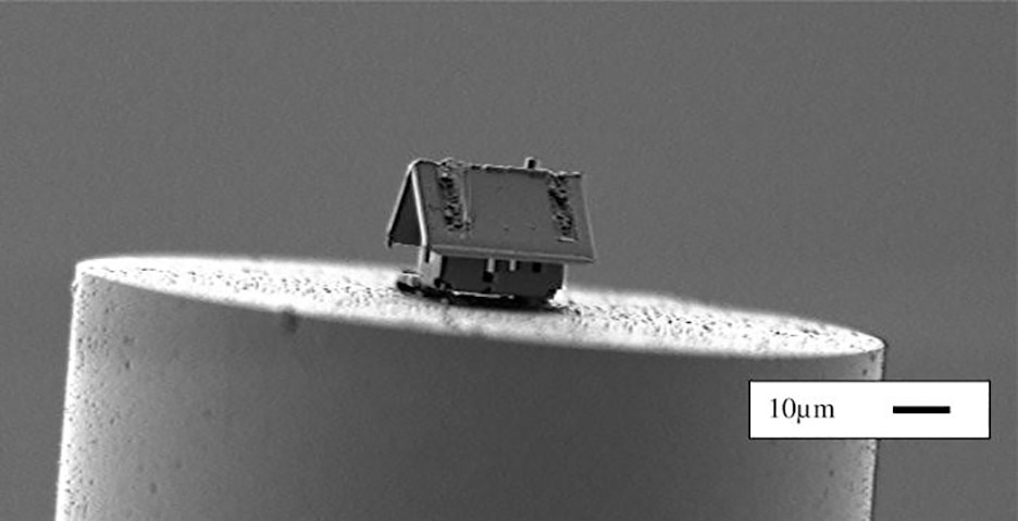 Nano-robots have built the world's smallest house