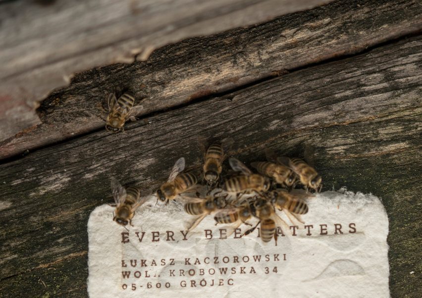 Bee-saving paper