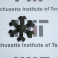 MIT engineers create 3D-printed magnetic shape-shifters