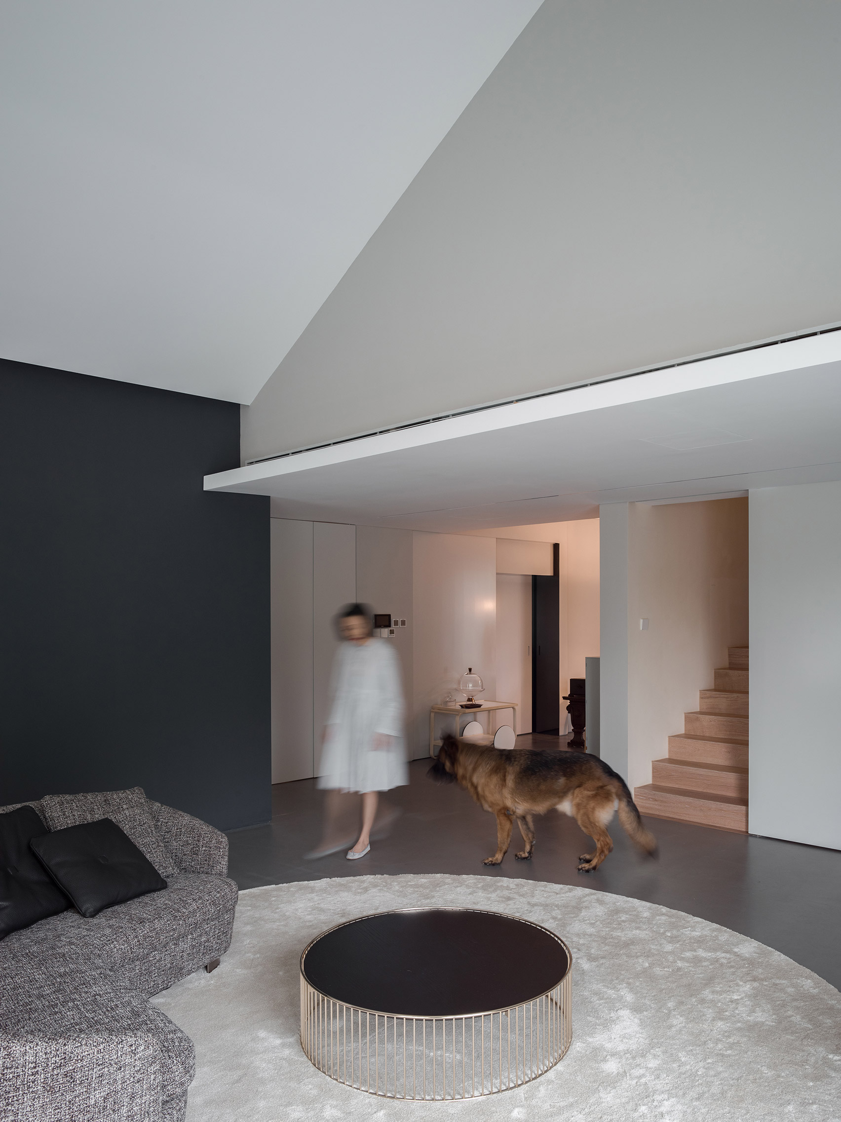 Dog House by Atelier About Architecture