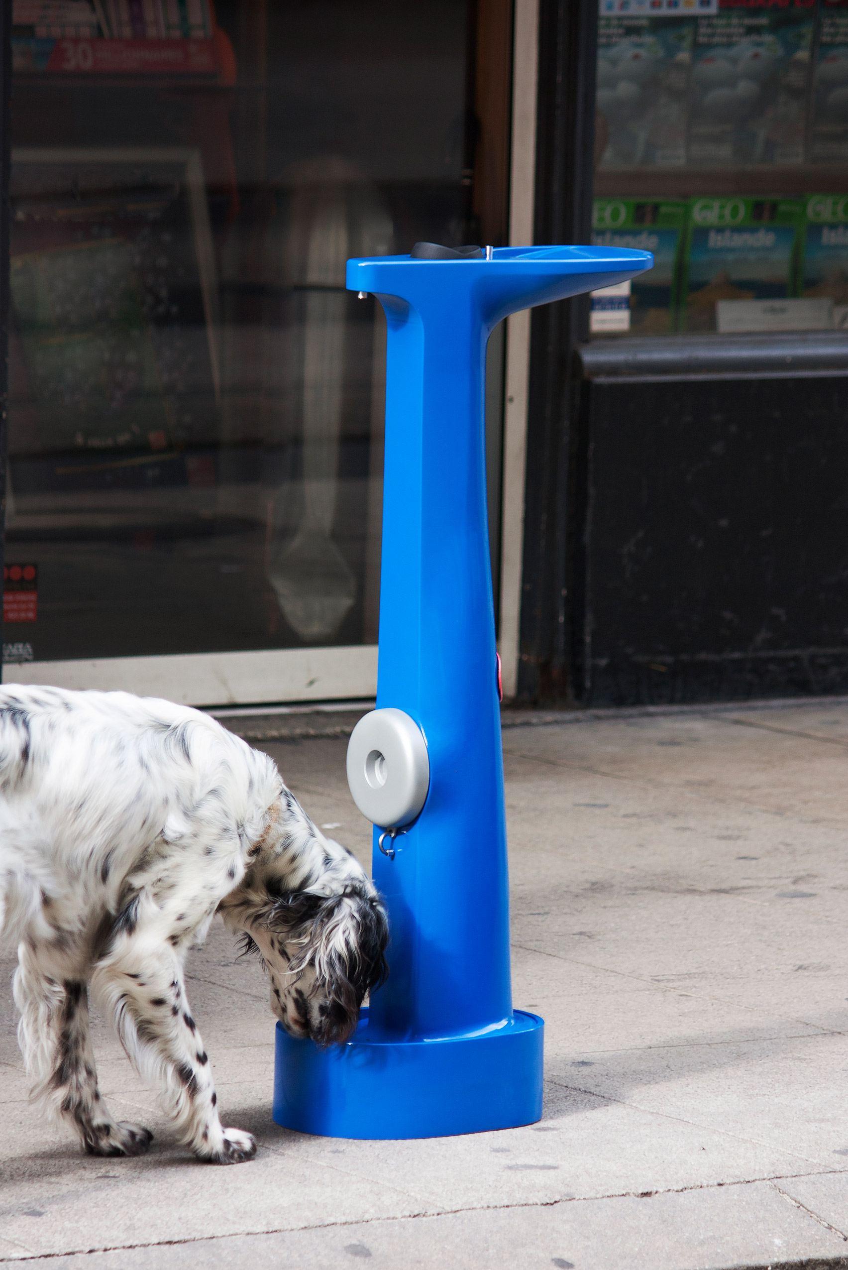 Drinking Hydrant by Dimitri Nassisi