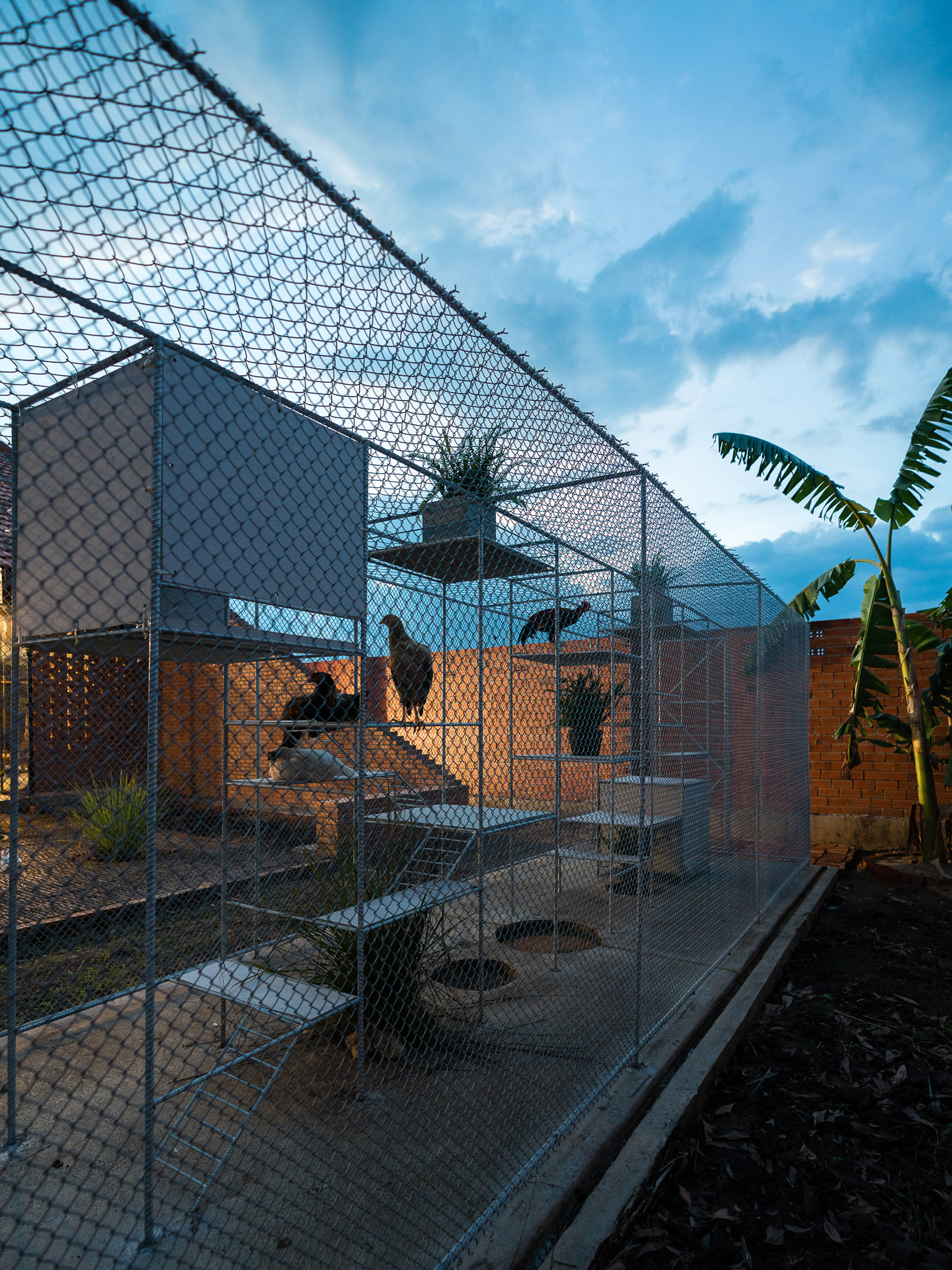Chicken House by Tropical Space