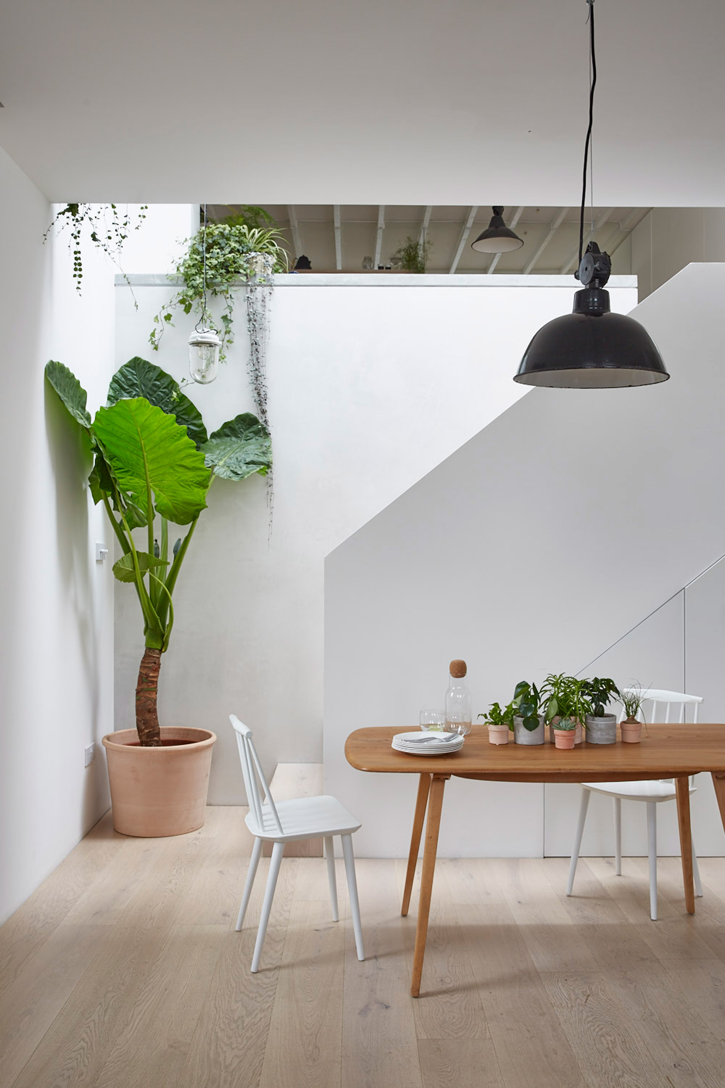 Hutch Design reconfigures Hackney mews to create space-saving family home
