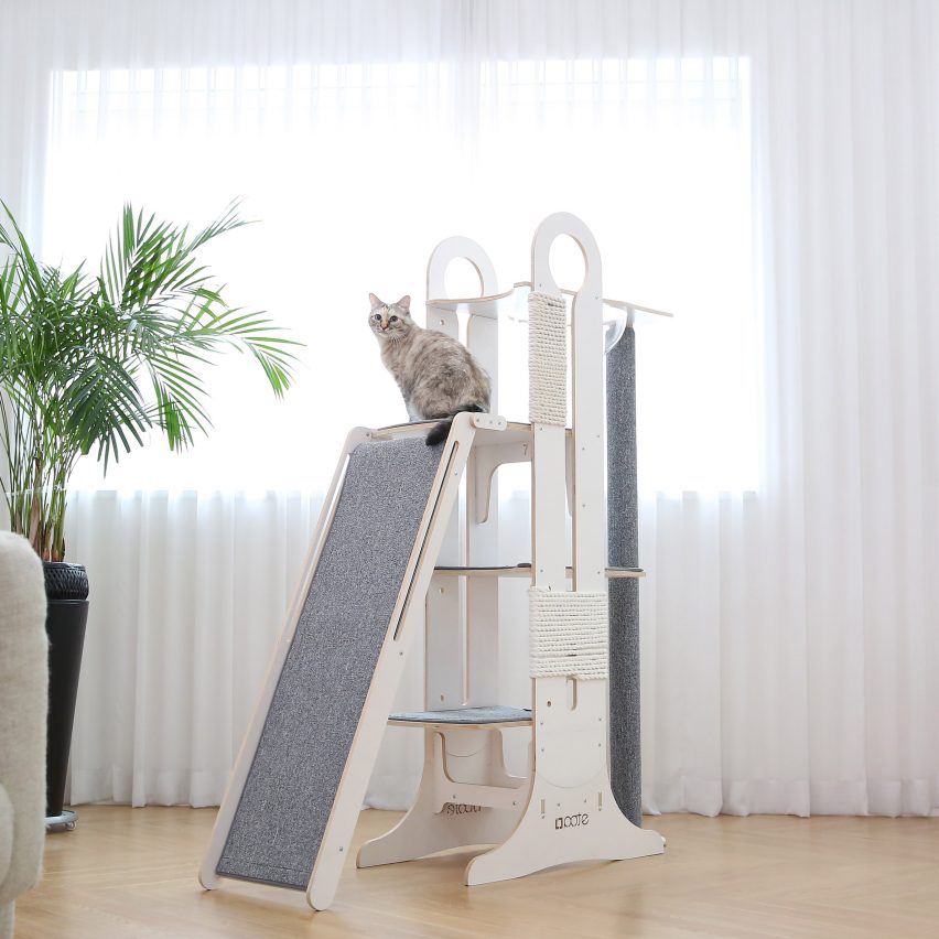 Milo and Torre by Tuft + Paw