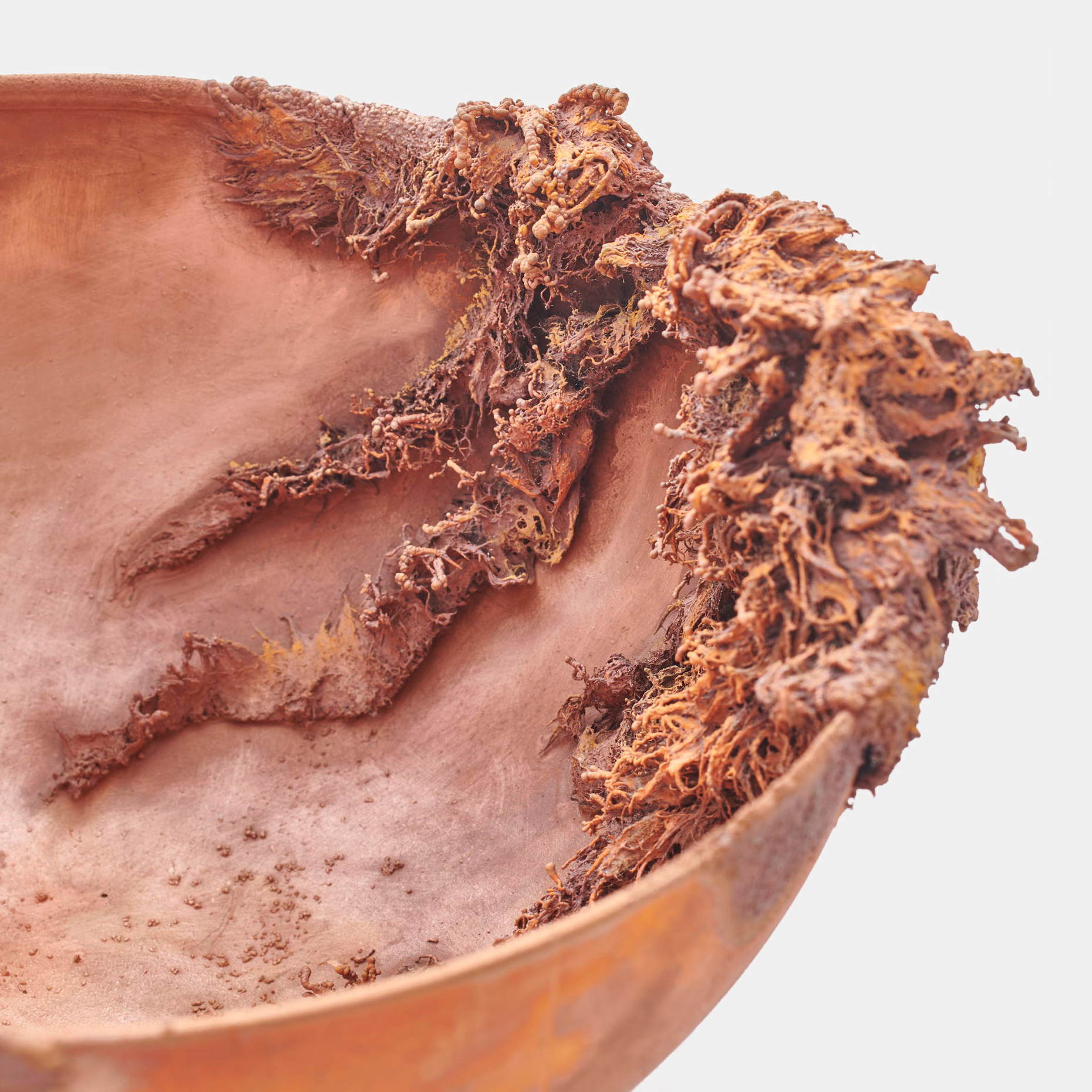 Copper and glass objects imagine future where water is scarce