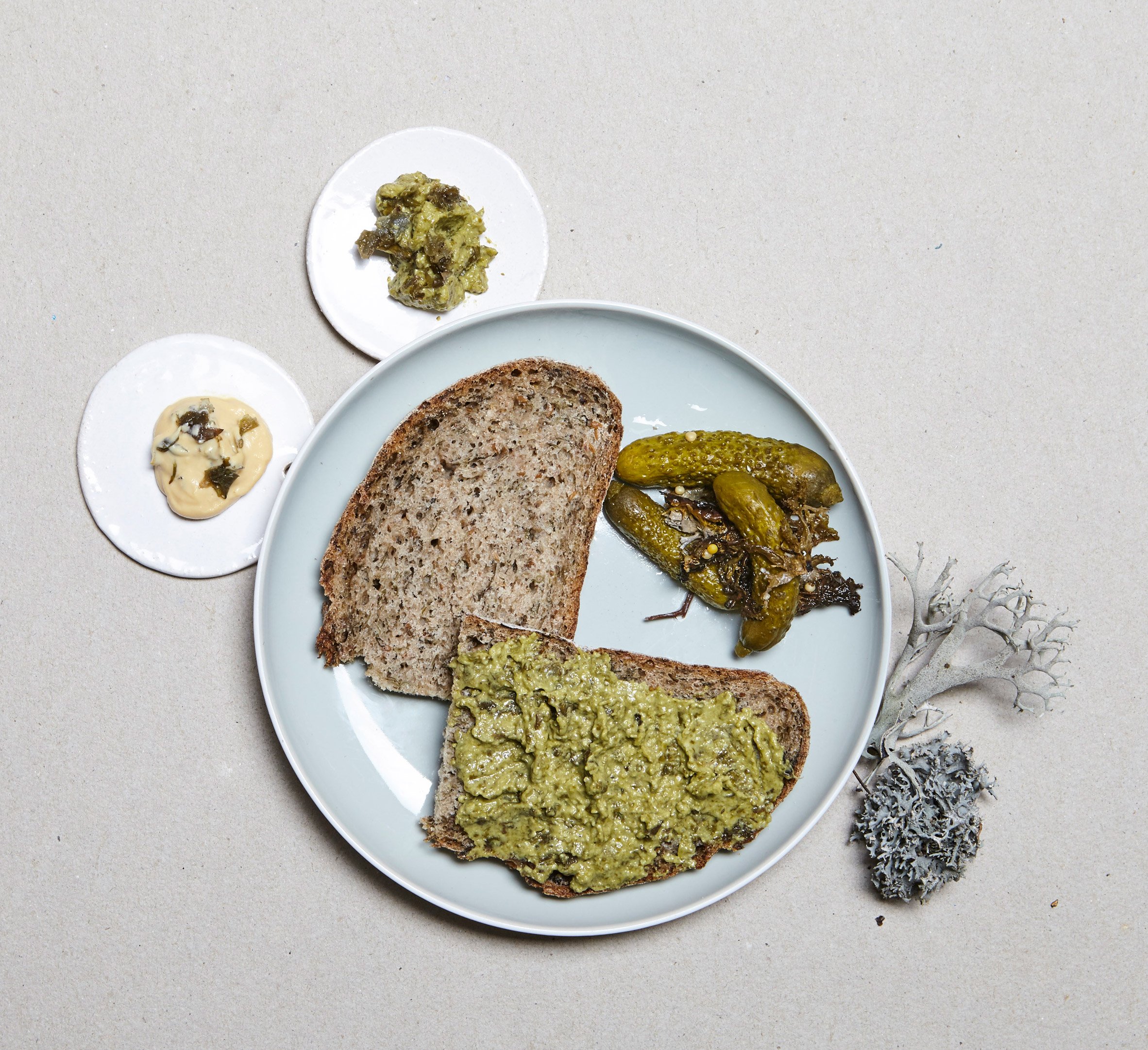 Julia Schwarz uses lichen to create food for after the apocalypse