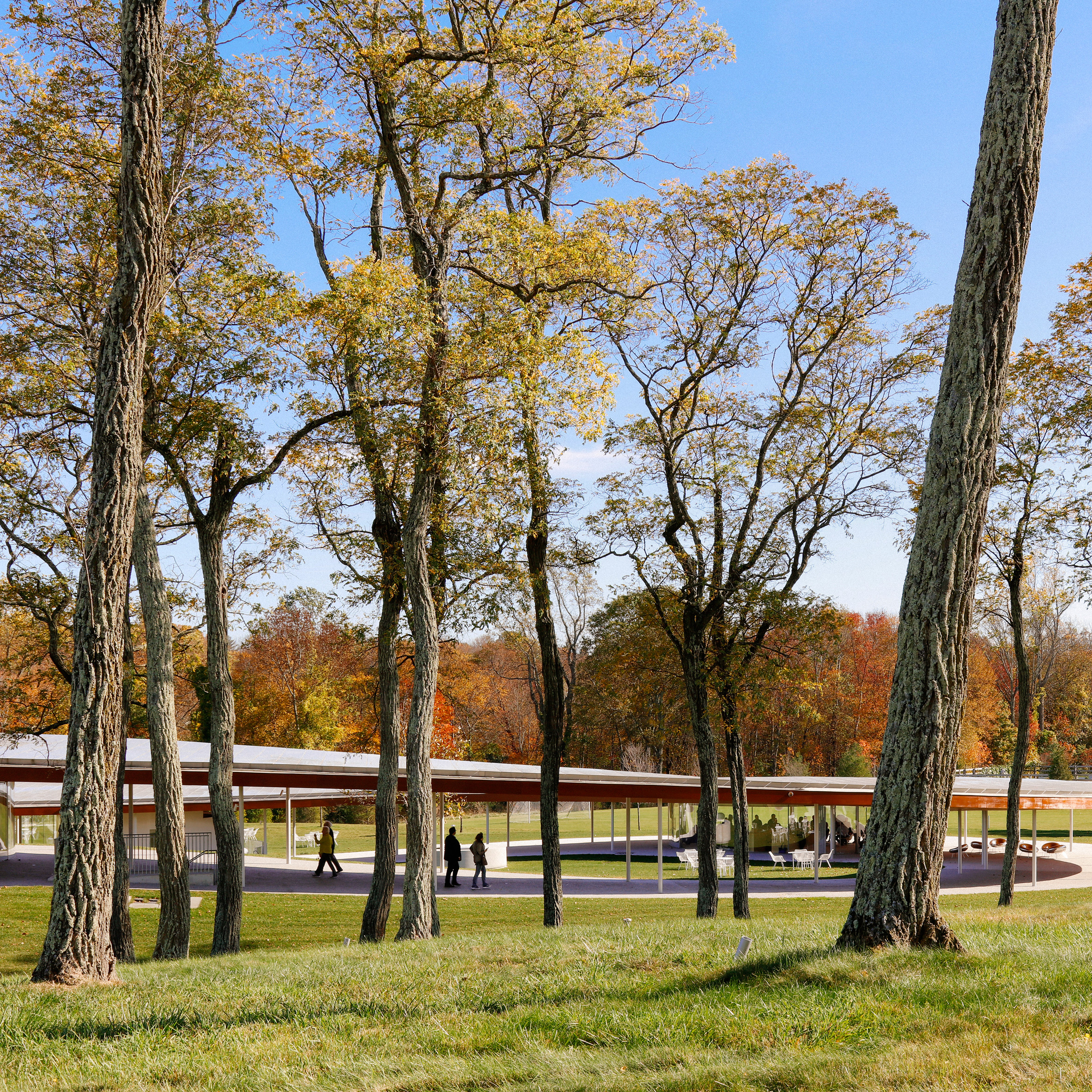 The River at Grace Farms by SANAA, New Canaan, Connecticut