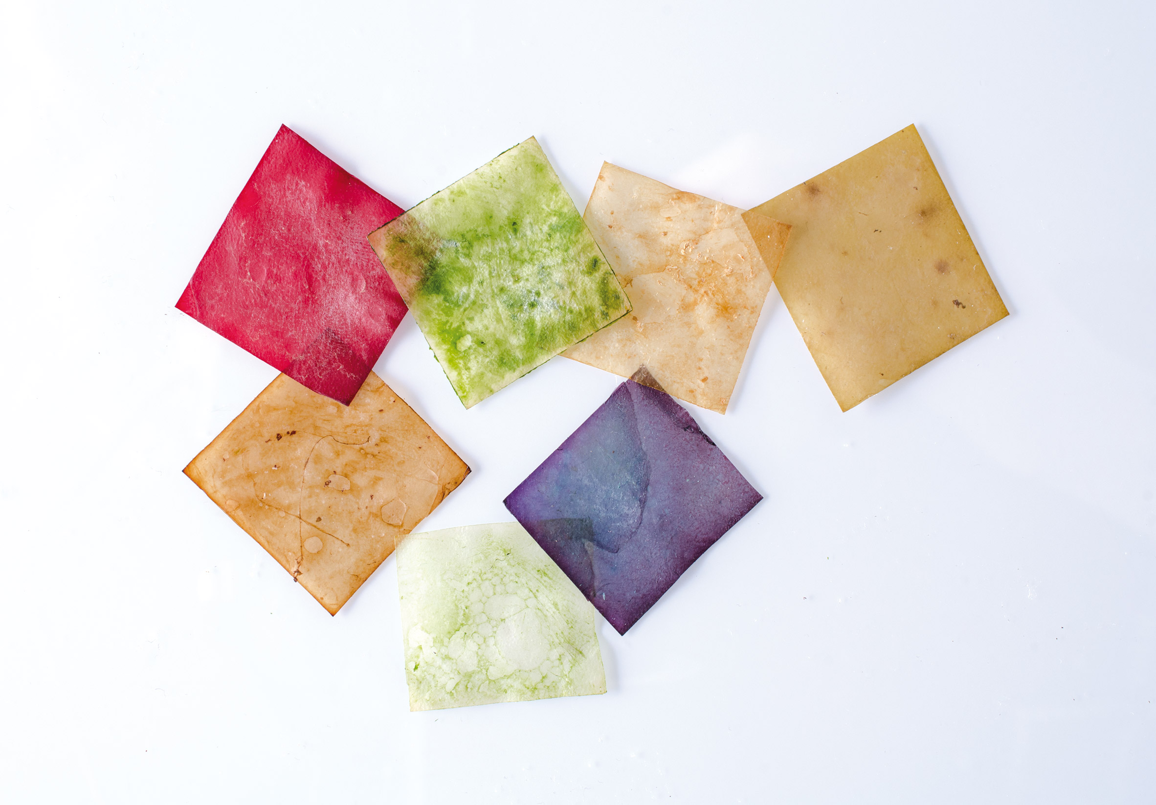 Emma Sicher makes sustainable food packaging from fermented