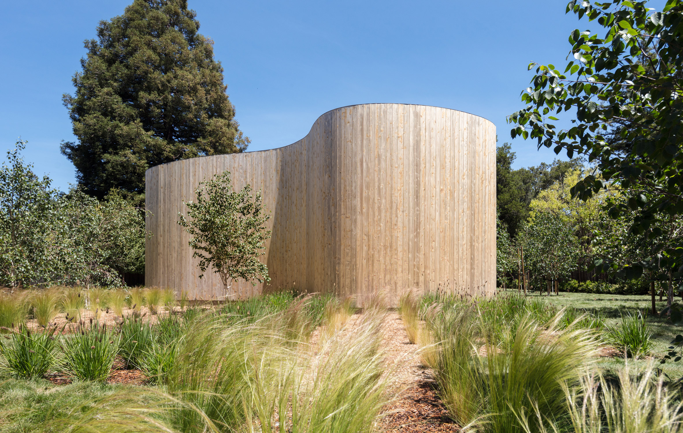 Craig Steely surrounds Roofless House in Silicon Valley with sinuous wooden wall