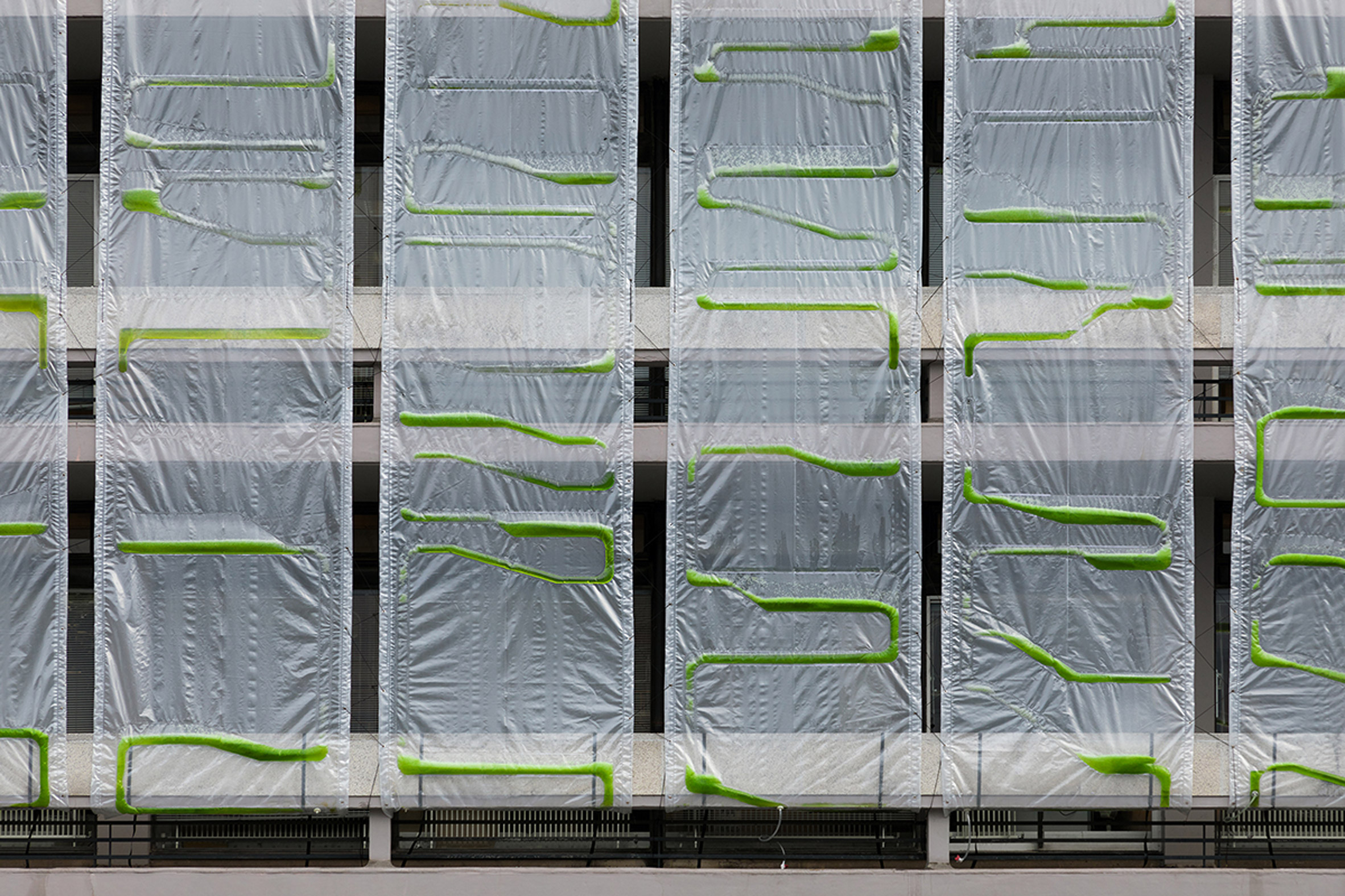 Algae curtain by ecoLogicStudio