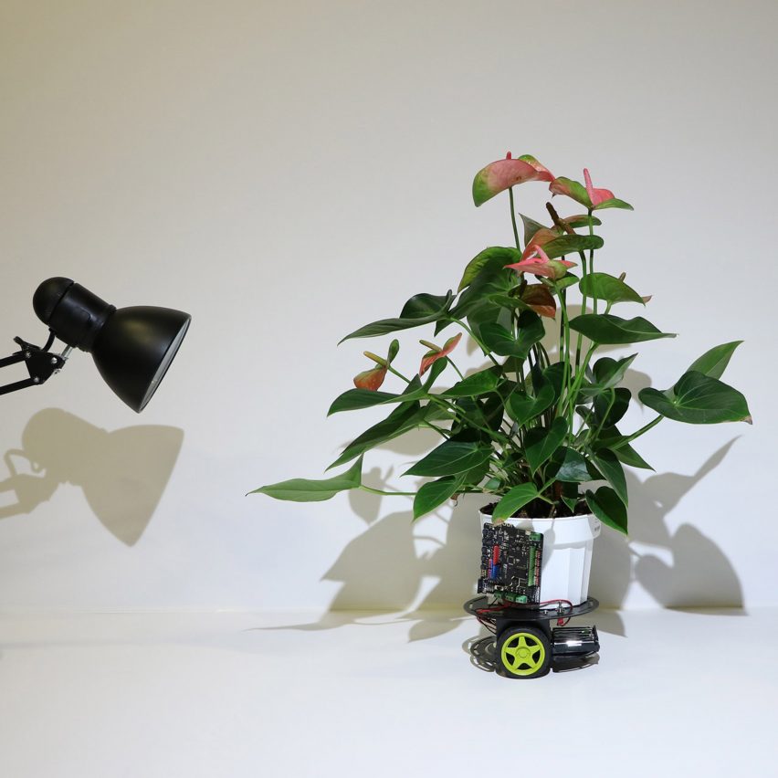 MIT "cyborg botany" researcher builds plant-robot hybrid