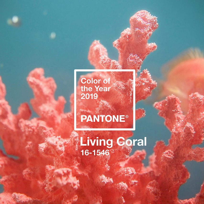 Living Coral is Pantone's colour of the year for 2019