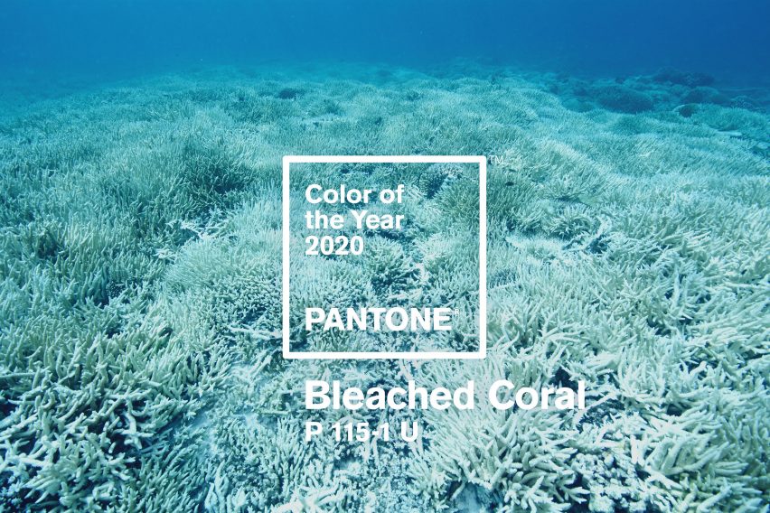 Bleached Coral Jack and Huei Pantone