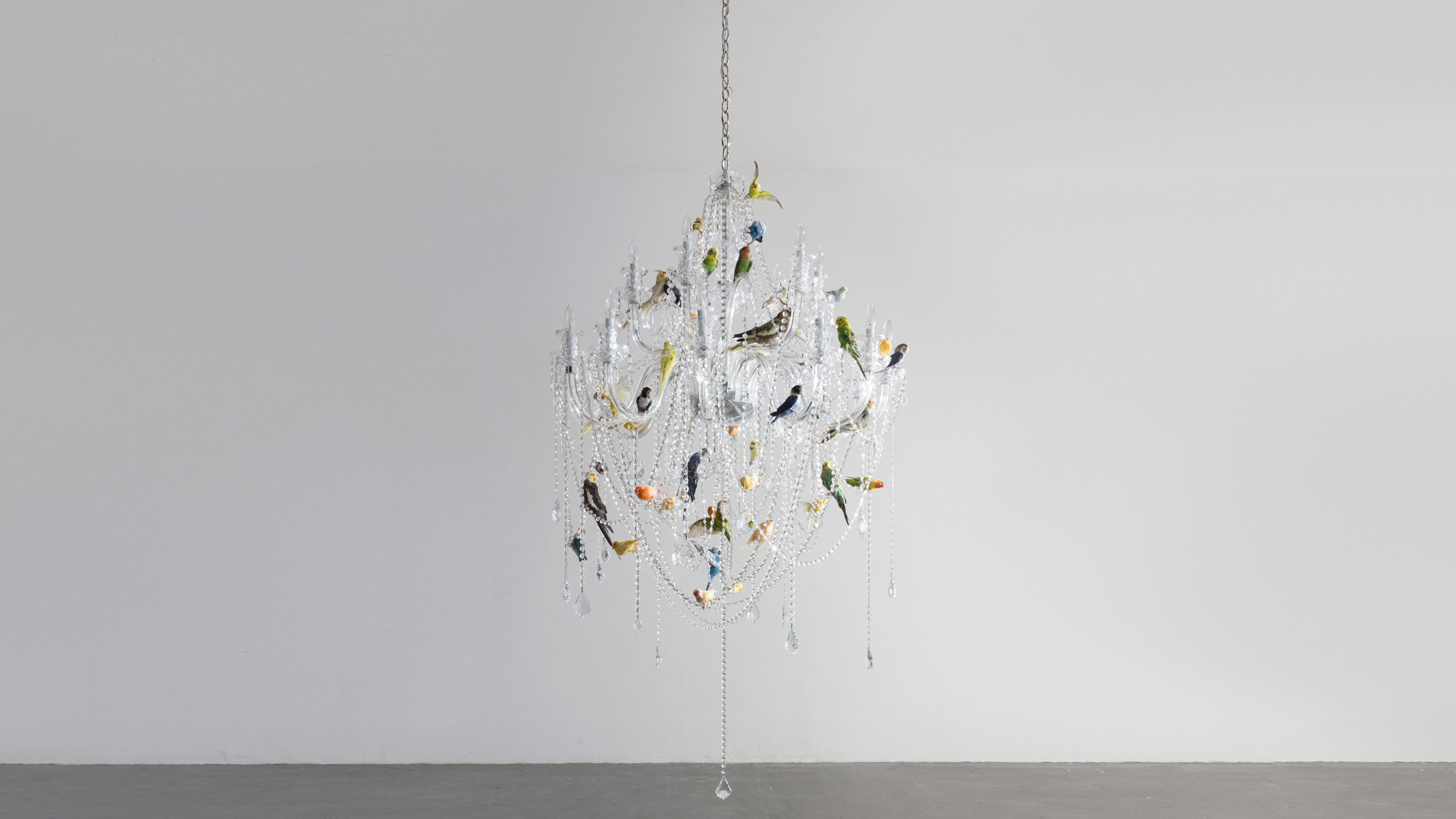 white bird chandelier