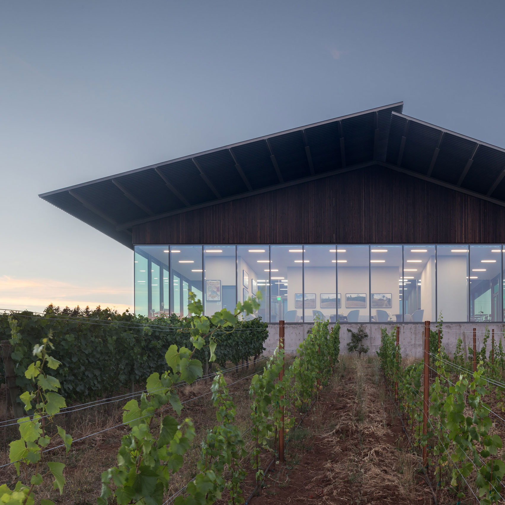 Furiosos Vineyards by Waechter Architecture
