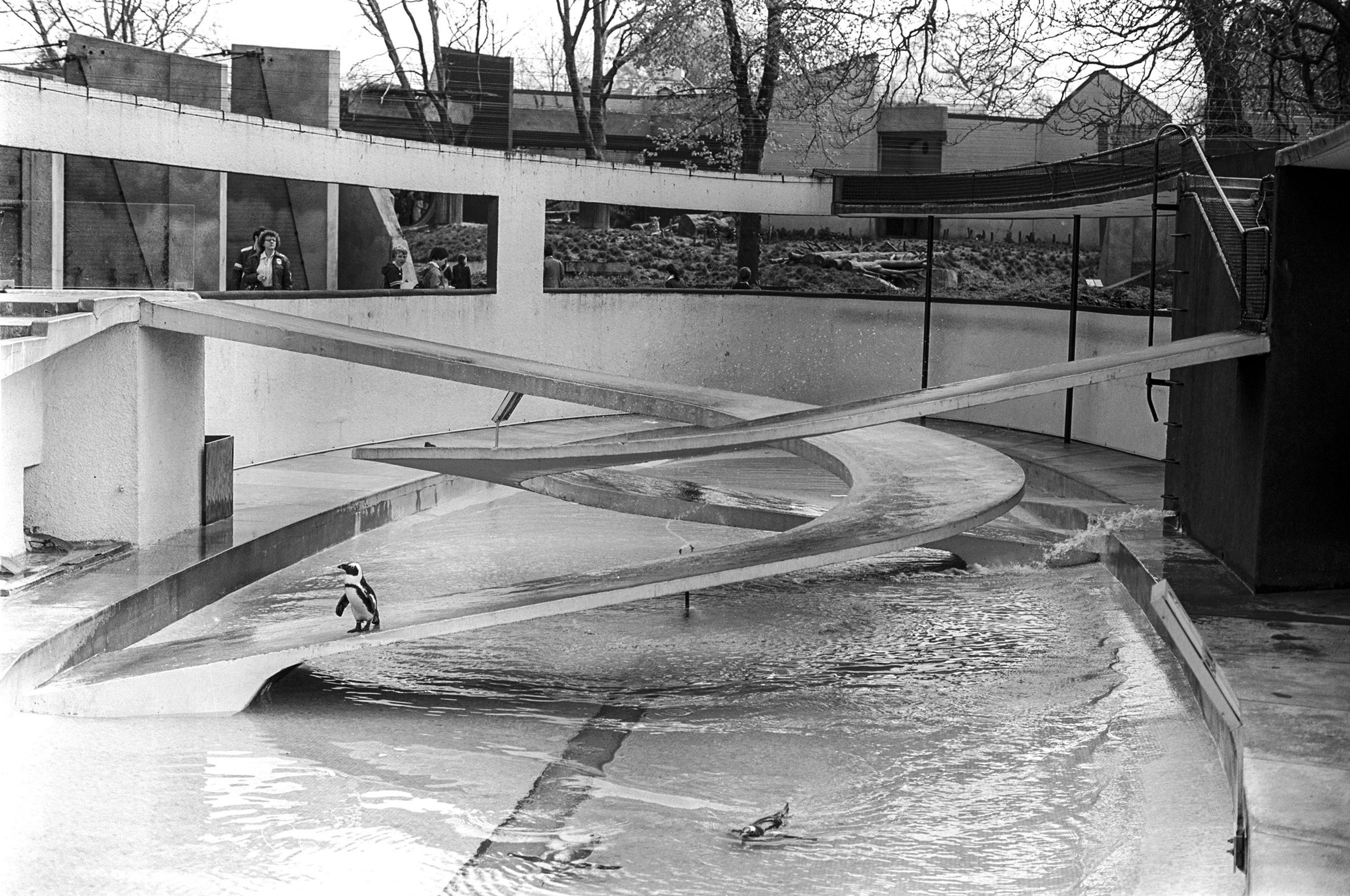 Lubetkin's Penguin Pool, photo by gillfoto