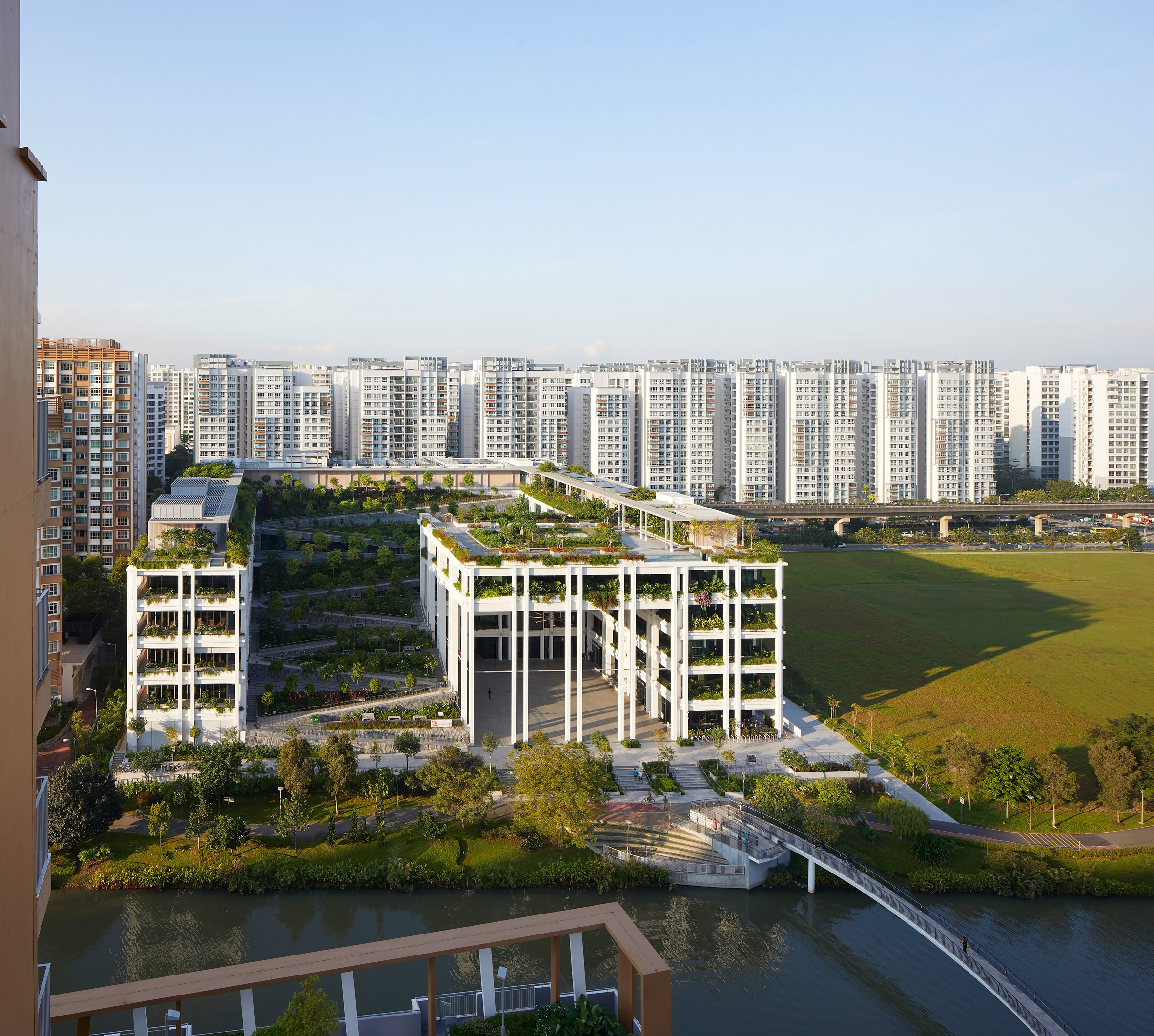 Ocean Terraces by Serie and Multiply Architects