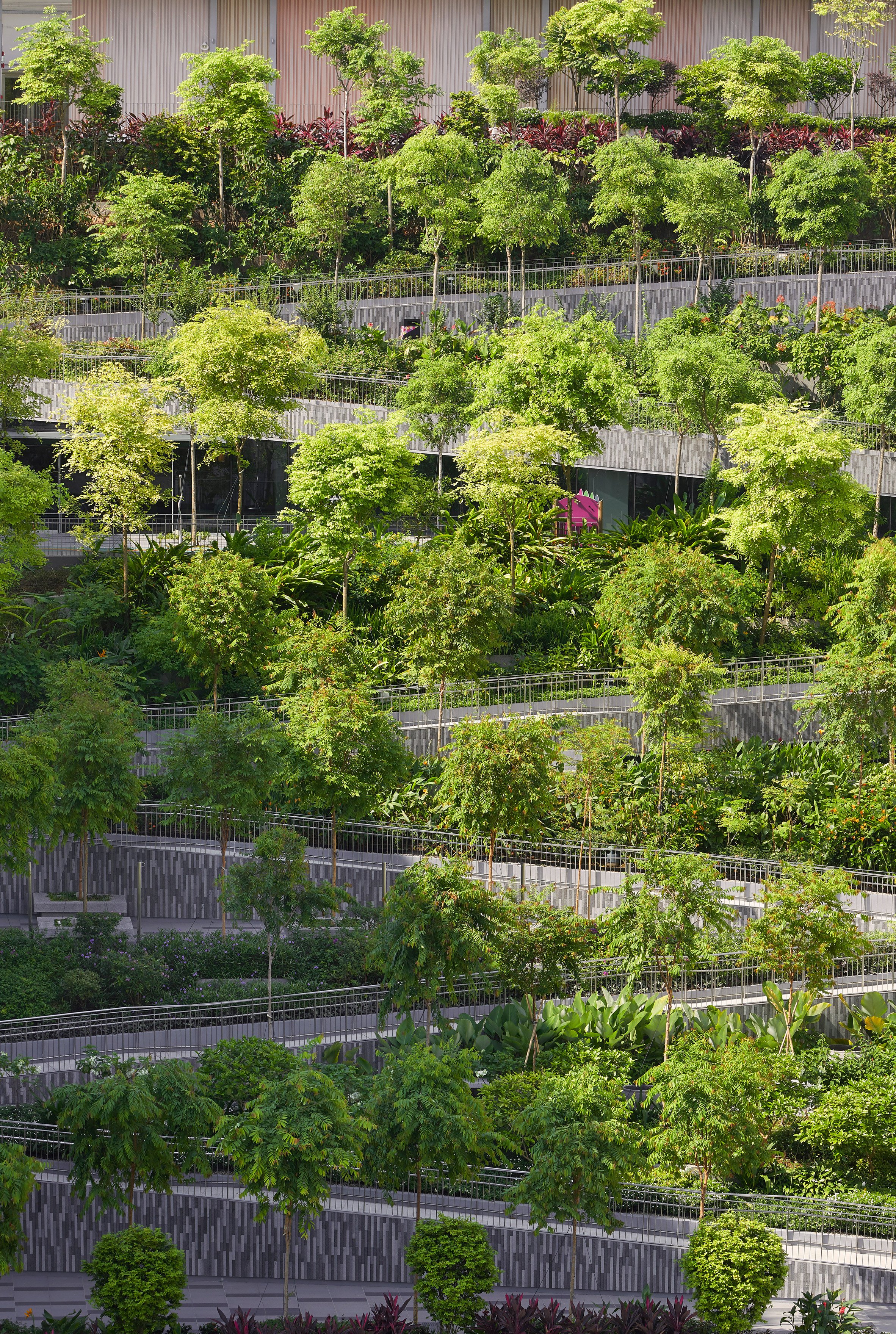 Oasis Terraces by Serie and Multiply Architects