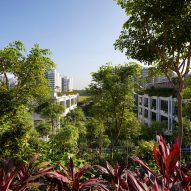 Oasis Terraces by Serie and Multiply Architects