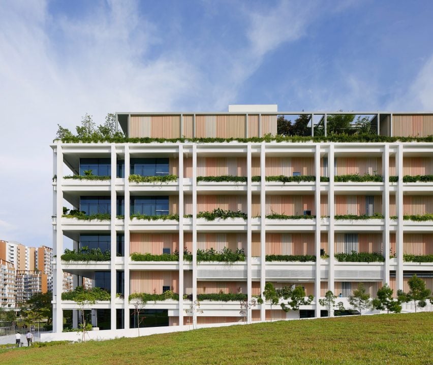 Oasis Terraces by Serie and Multiply Architects