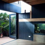 TAKA incorporates turtle tank into end wall of House in a Palm Garden