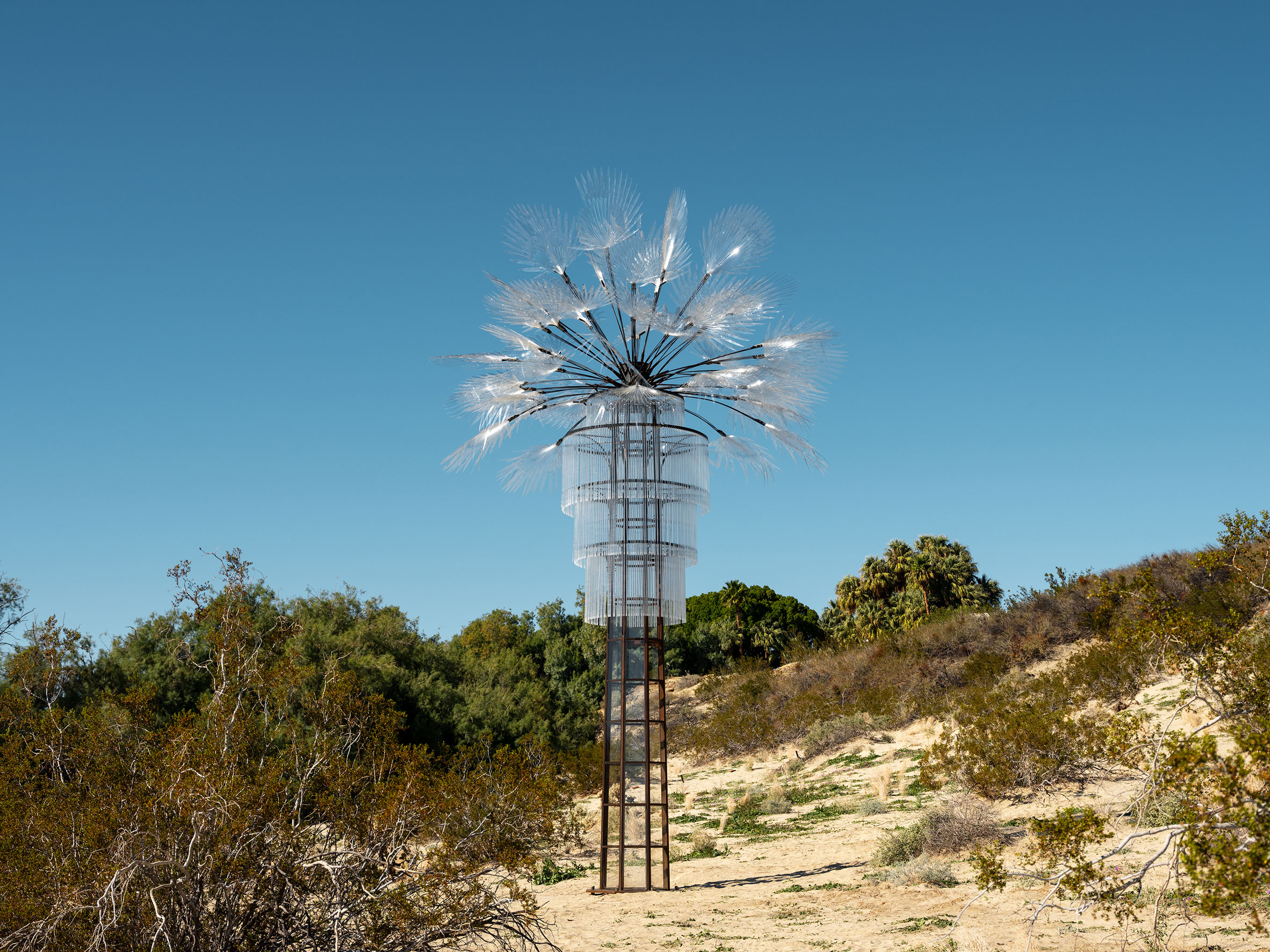 Katie Ryan's installation for Desert X 2019