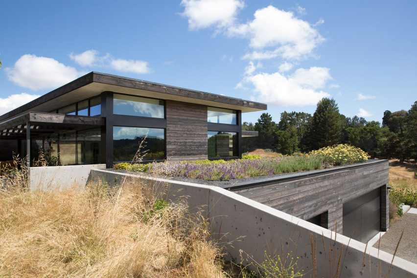 Meadow Home by Feldman Architecture