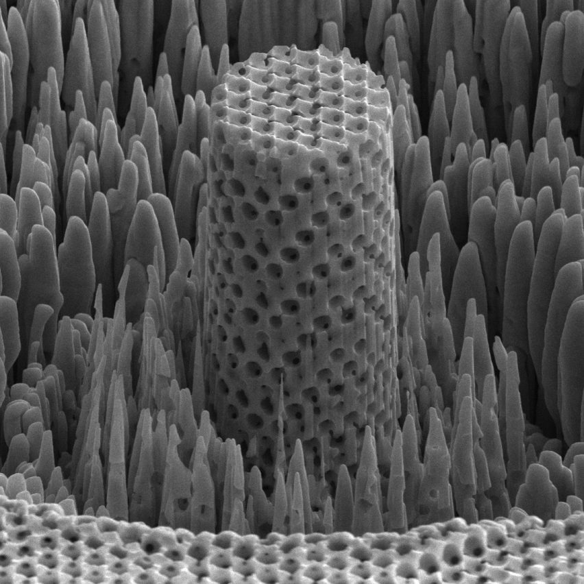 "Metallic wood" is as strong as titanium but five times lighter