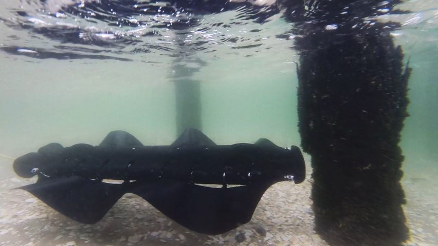 Amphibious Velox robot uses undulating fins to swim and crawl