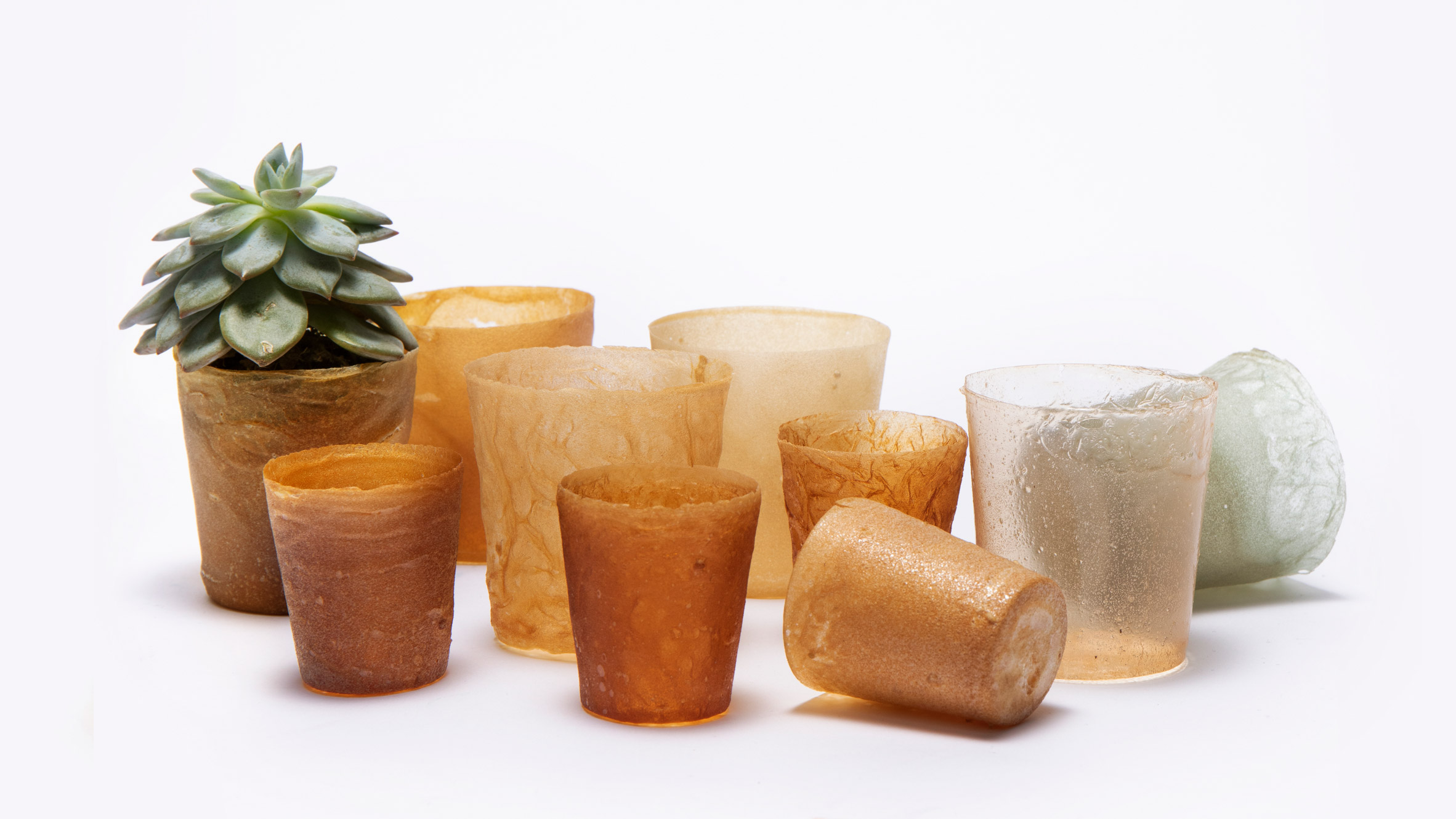 Chitin plant pots by Shellworks