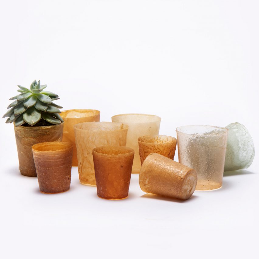 Bioplastic objects made from discarded lobster shells