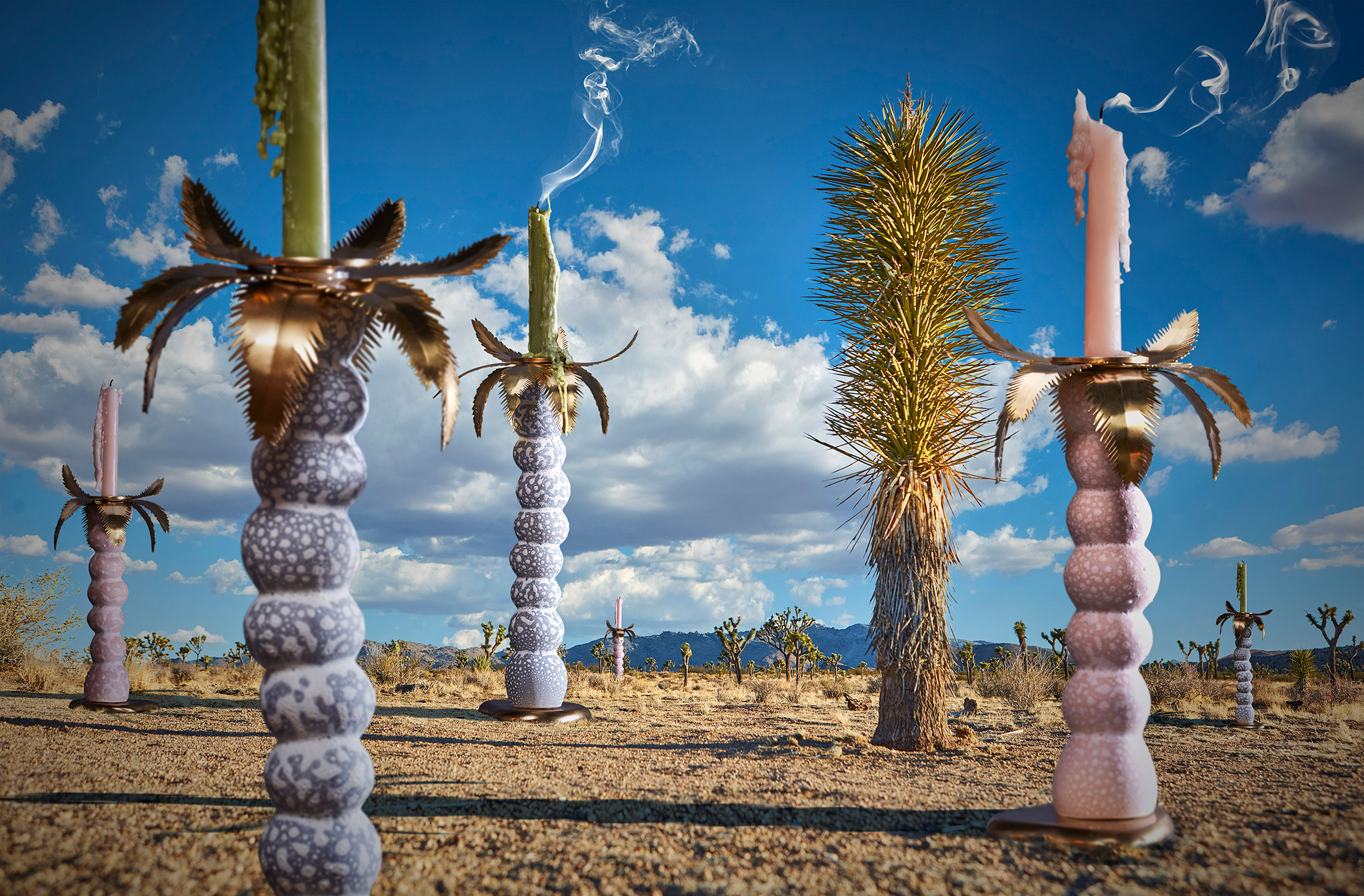 Mojave Palm Candlesticks in Wild Things by the Haas Brothers