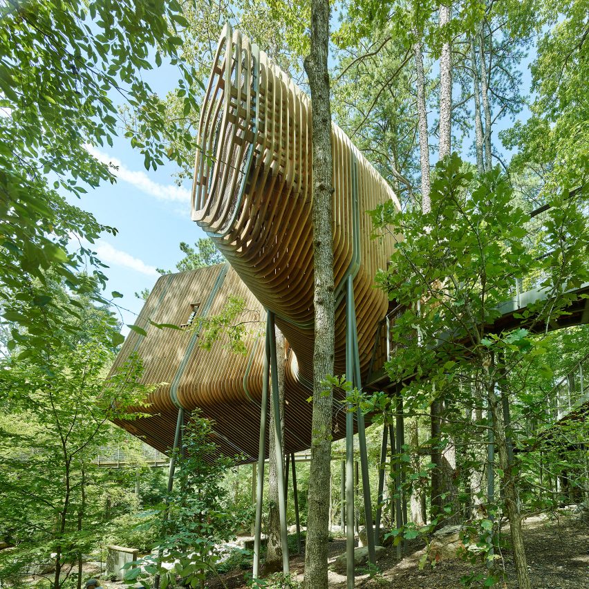 Slender pine slats enclose Evans Tree House in Arkansas by Modus Studio