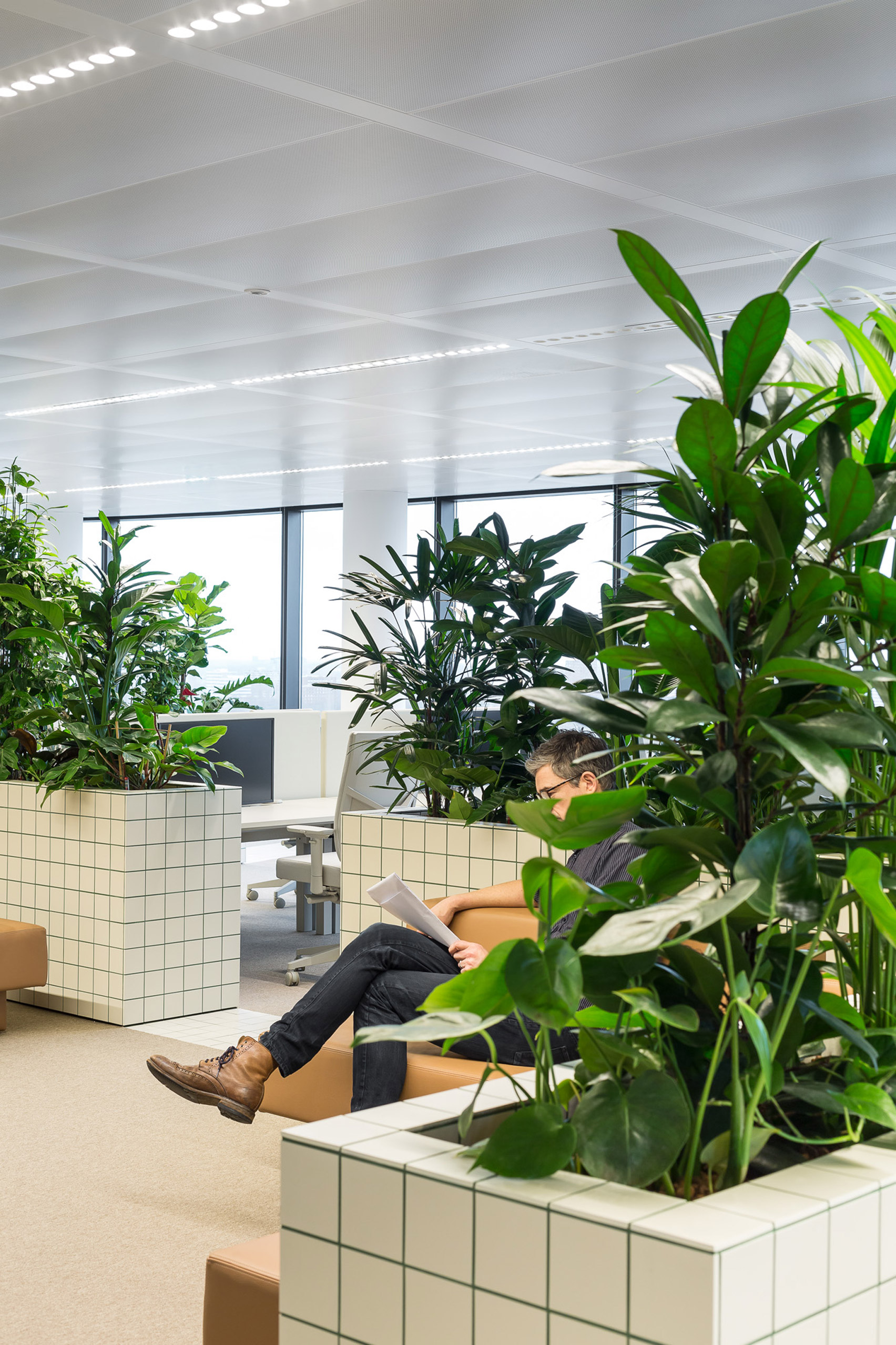 geur cultuur Het strand Space Encounters uses planted partitions to divide Synchroon's Utrecht  office