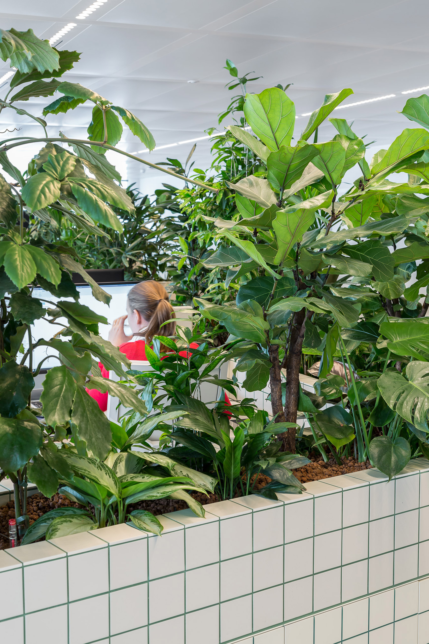 geur cultuur Het strand Space Encounters uses planted partitions to divide Synchroon's Utrecht  office