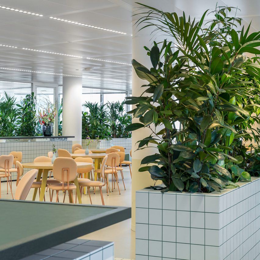 Space Encounters uses planted partitions to divide office in Utrecht
