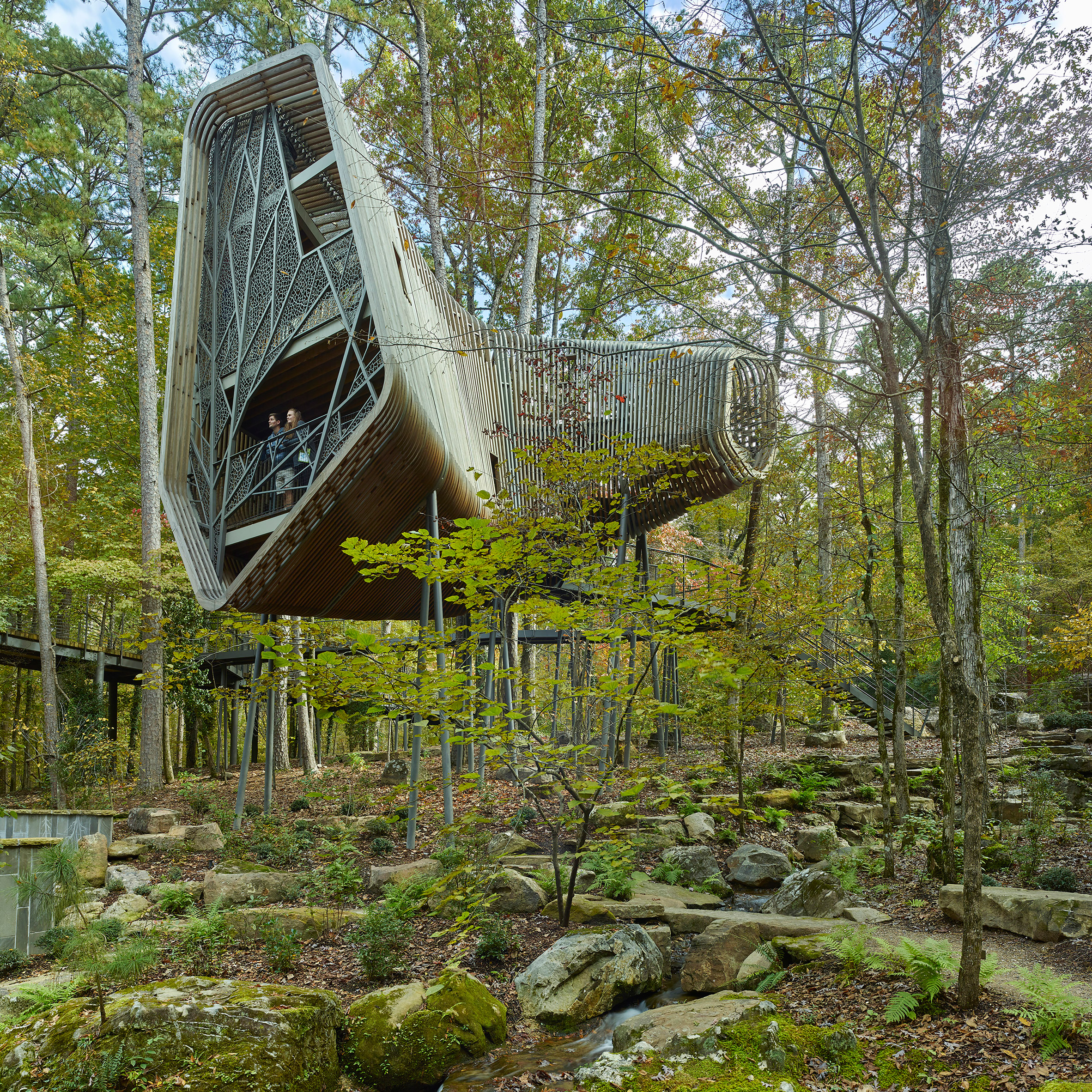 AIA Small Projects 2019, Evans Treehouse