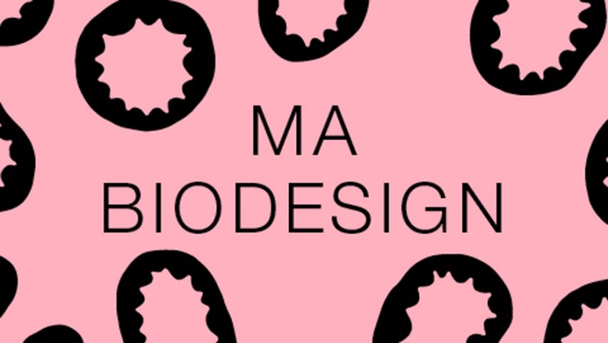Central Saint Martins launches masters program in biodesign