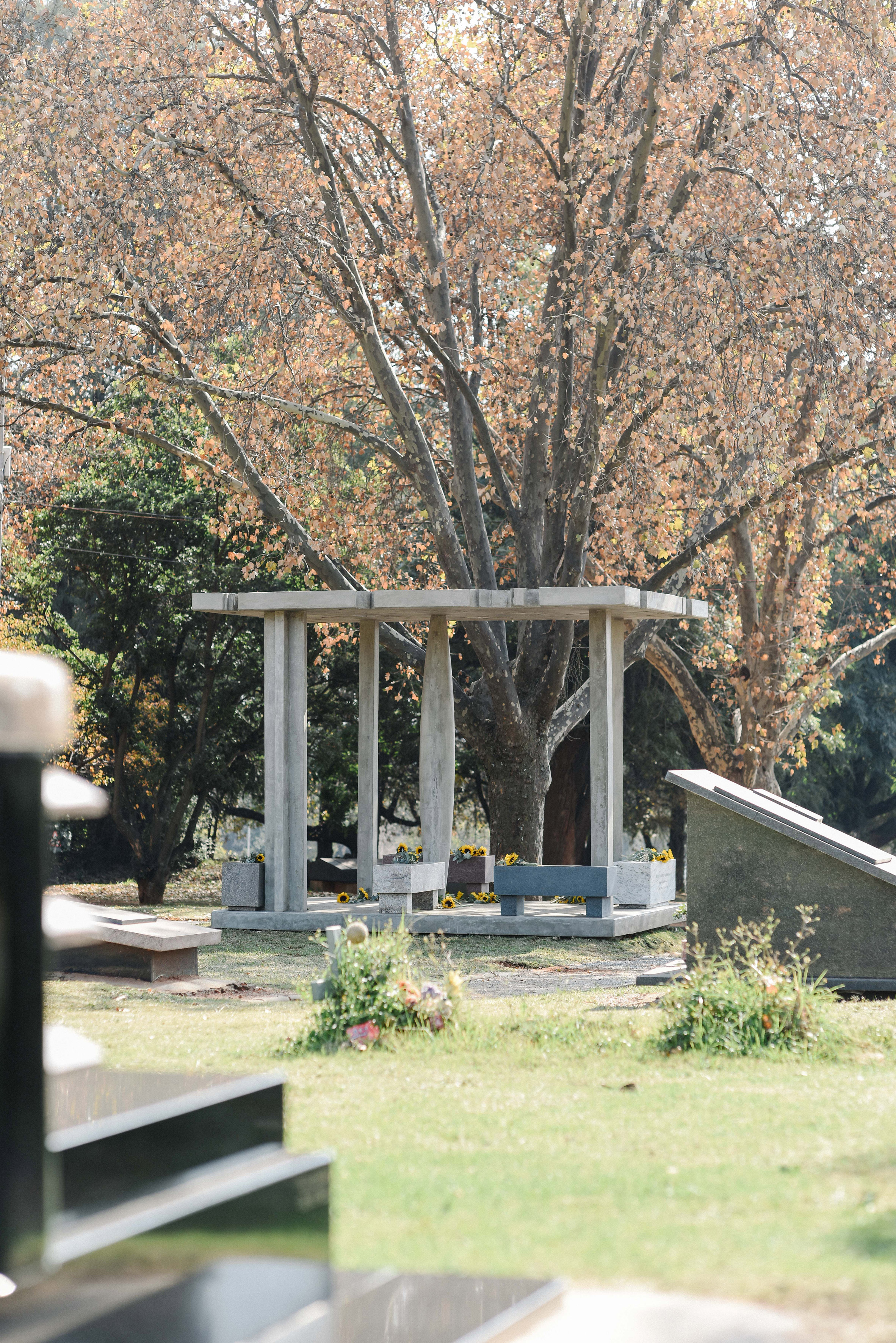 Memorial pavilion for South African trumpeter Hugh Masekela by David Adjaye