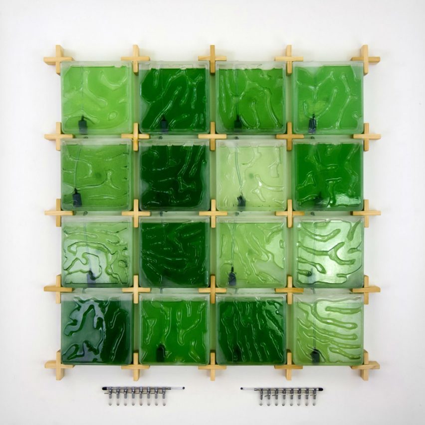 Dezeen Awards 2019 design longlist: The Coral: home algae farming by Rhode Island School of Design is longlisted for the sustainable design award