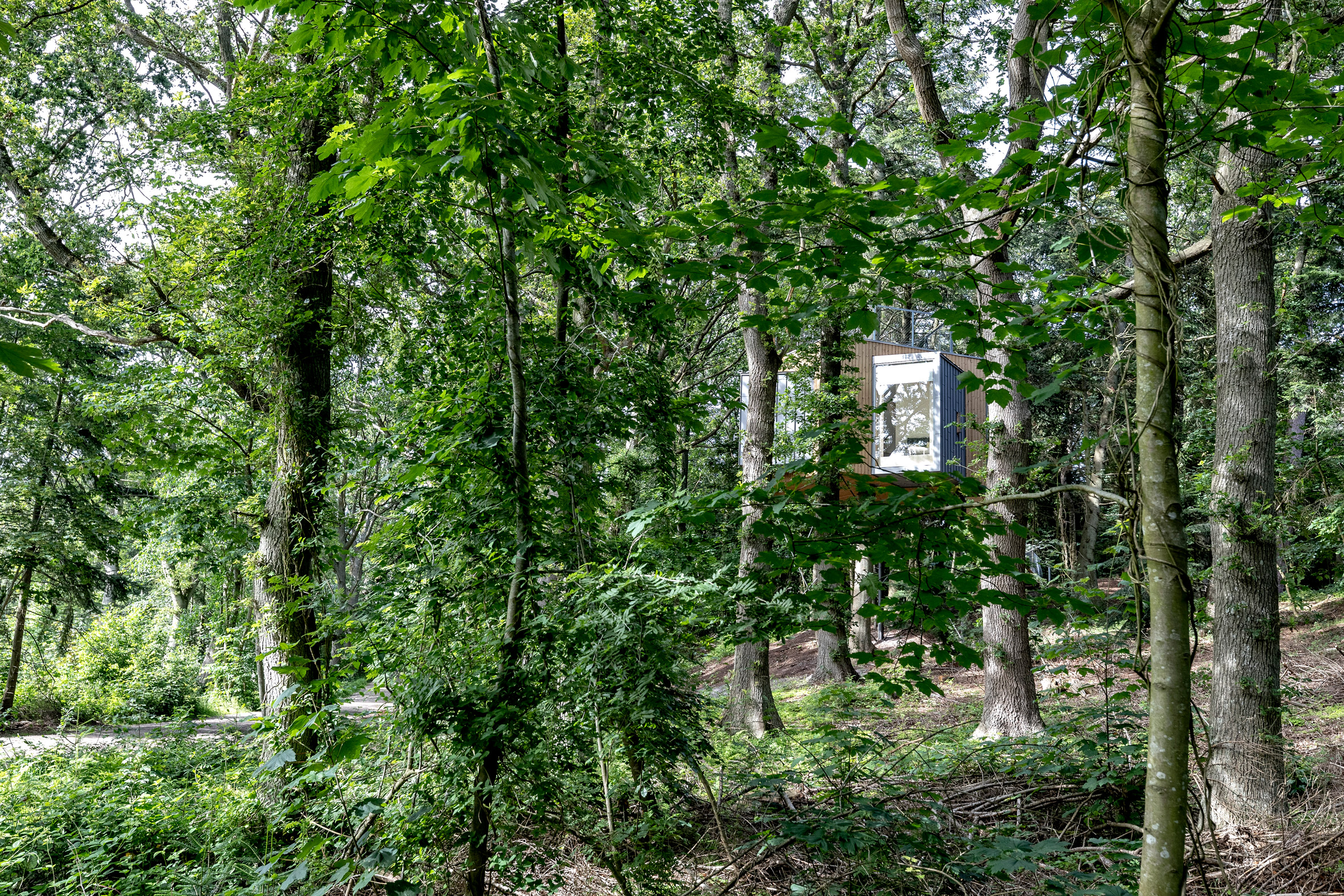 Treetop hotel cabin for Løvtag by Sigurd Larsen