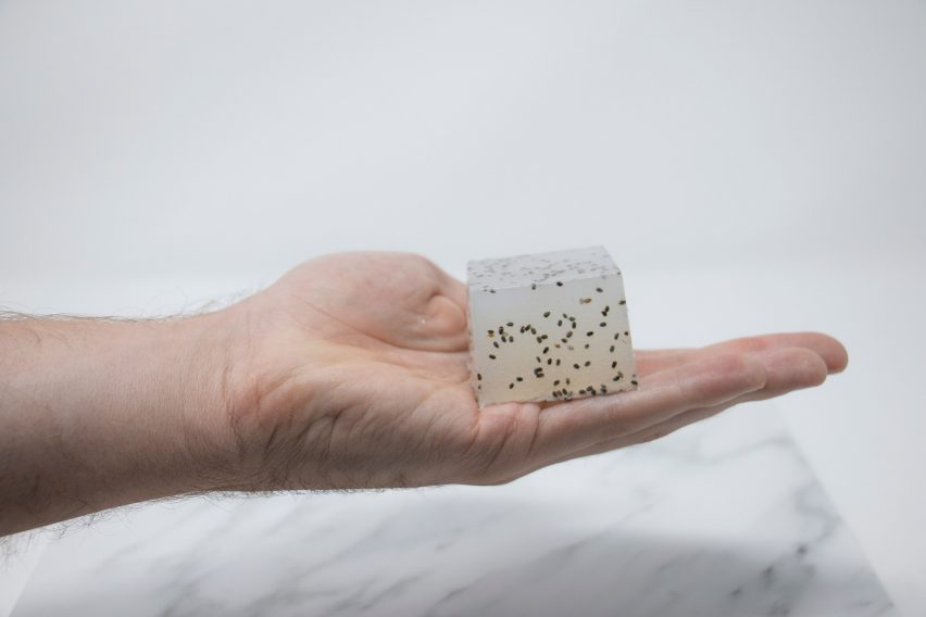 Danielle Coffey's Sápu device turns household fats into soap