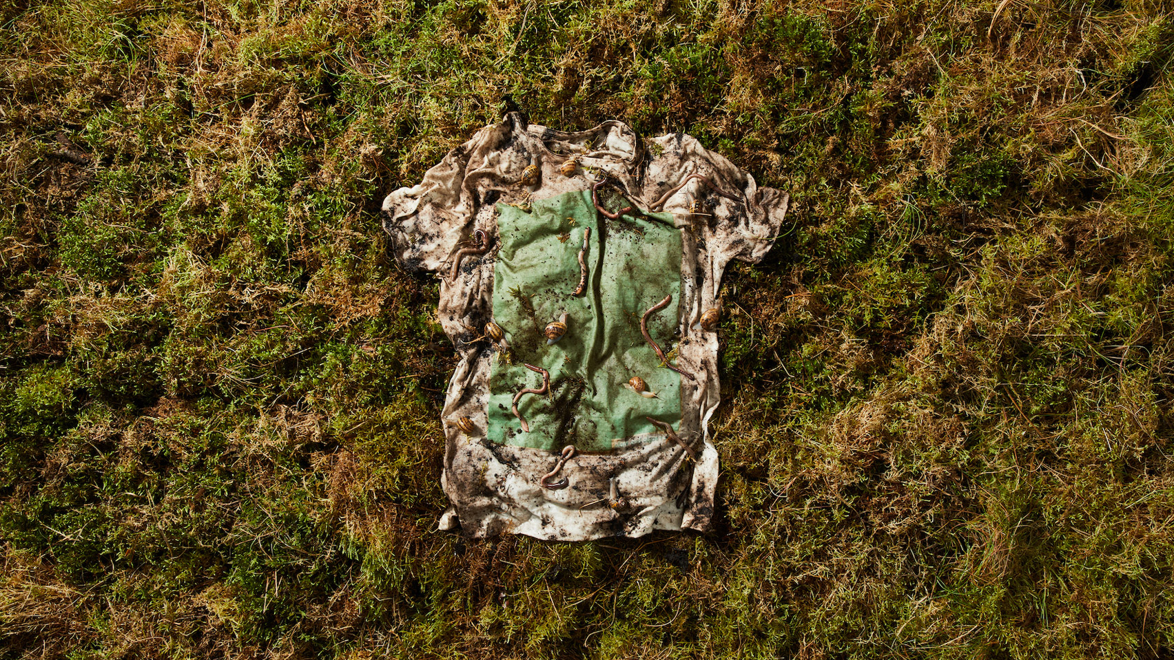 Vollebak's plant algae T-shirt becomes "worm food" in