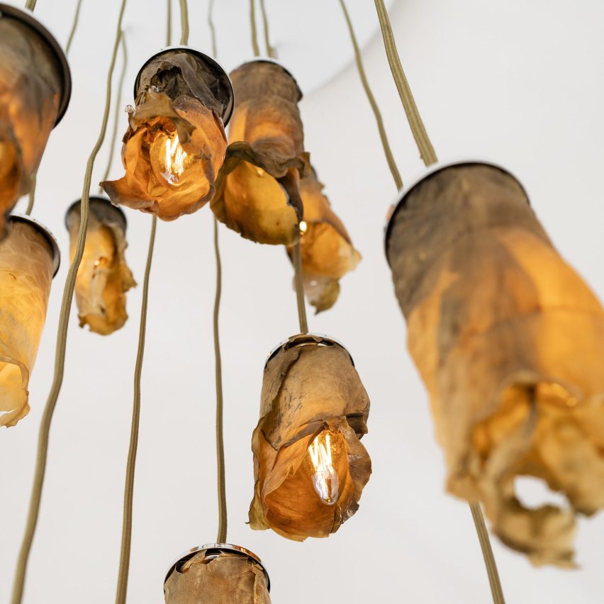 Nea Studio creates lamps from dried seaweed