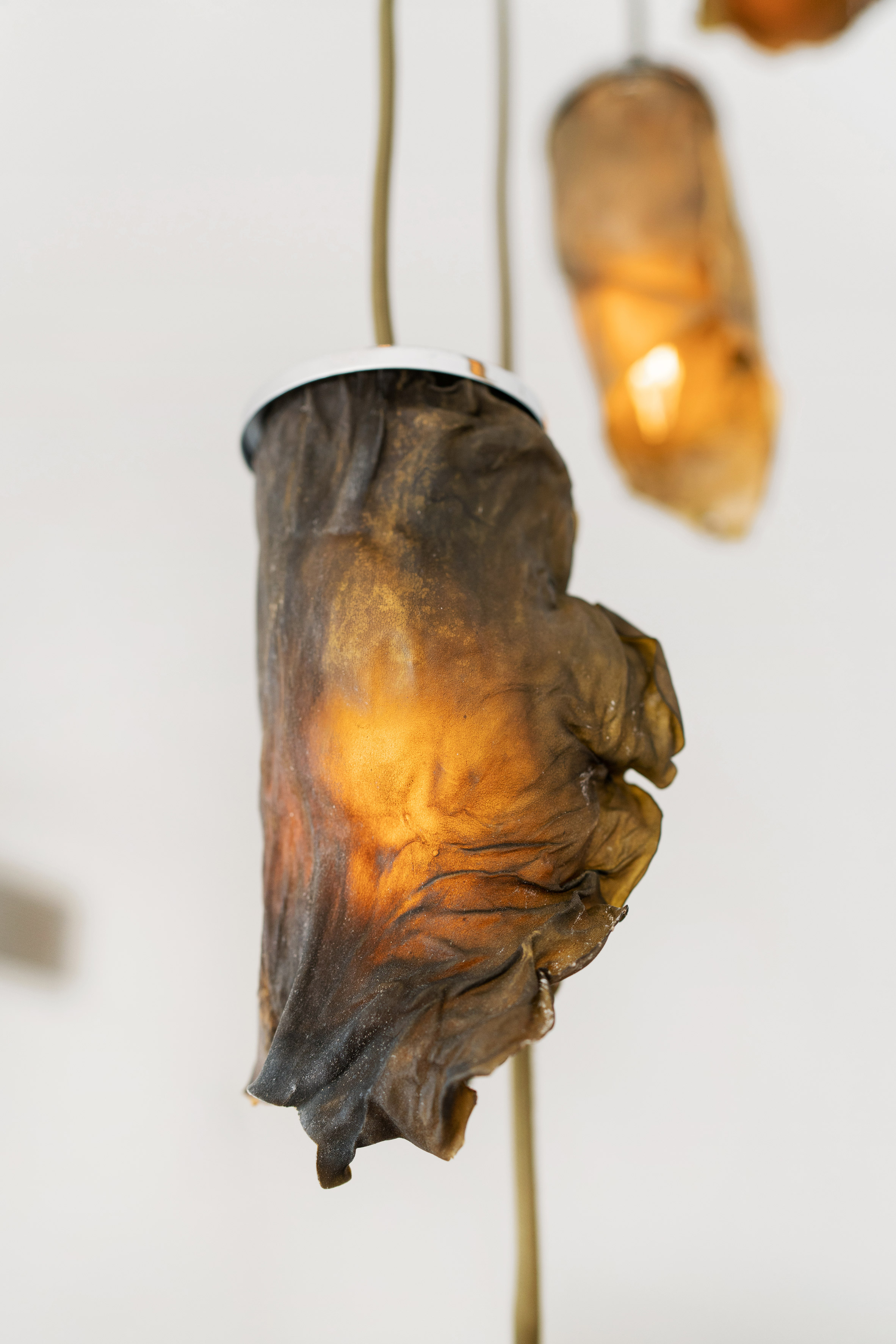 Algae Lamps by Nea Studio