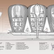 Seed of Life bamboo colony on Mars by Warith Zaki and Amir Amzar