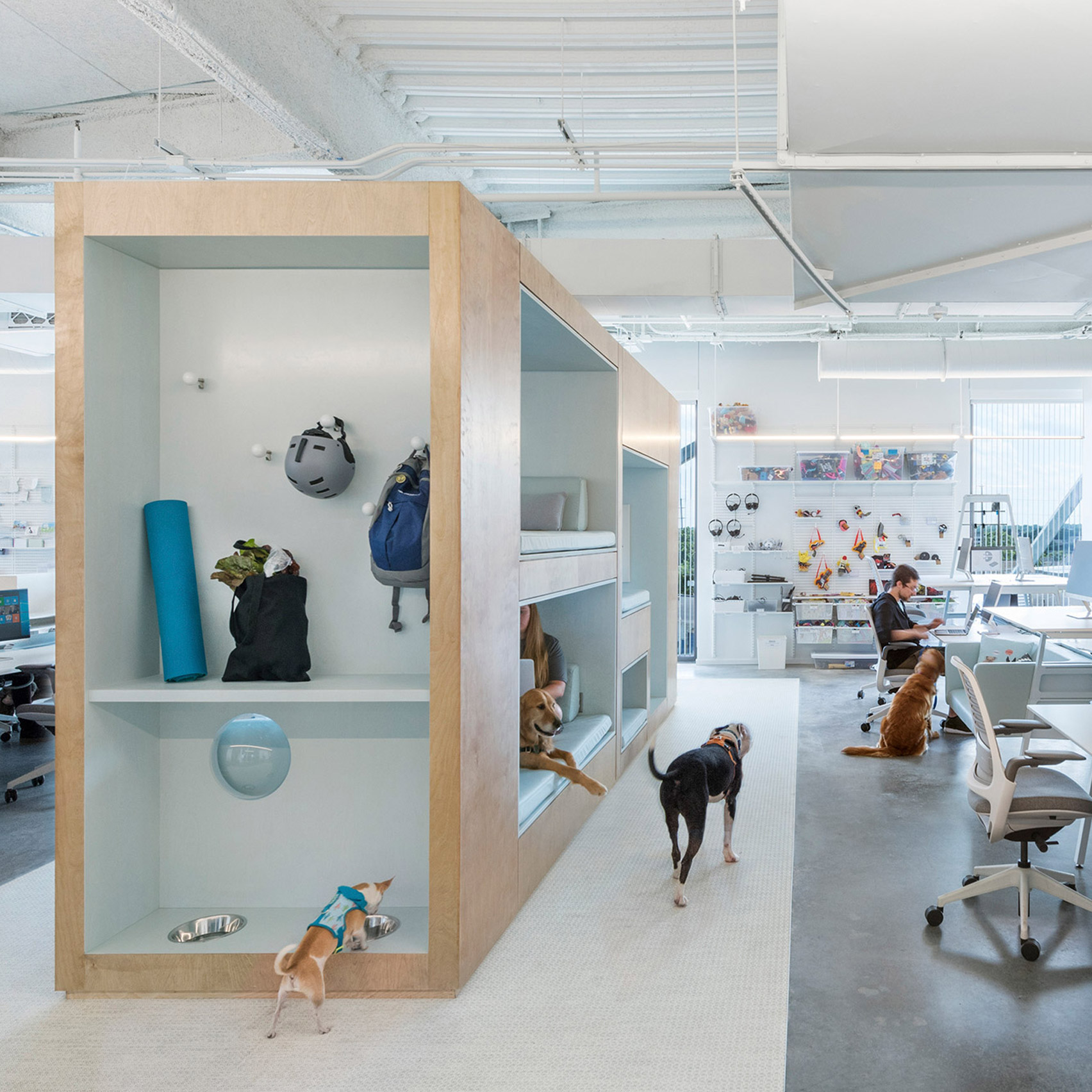 Nbbj Designs Bark S Ohio Office For Both Humans And Dogs