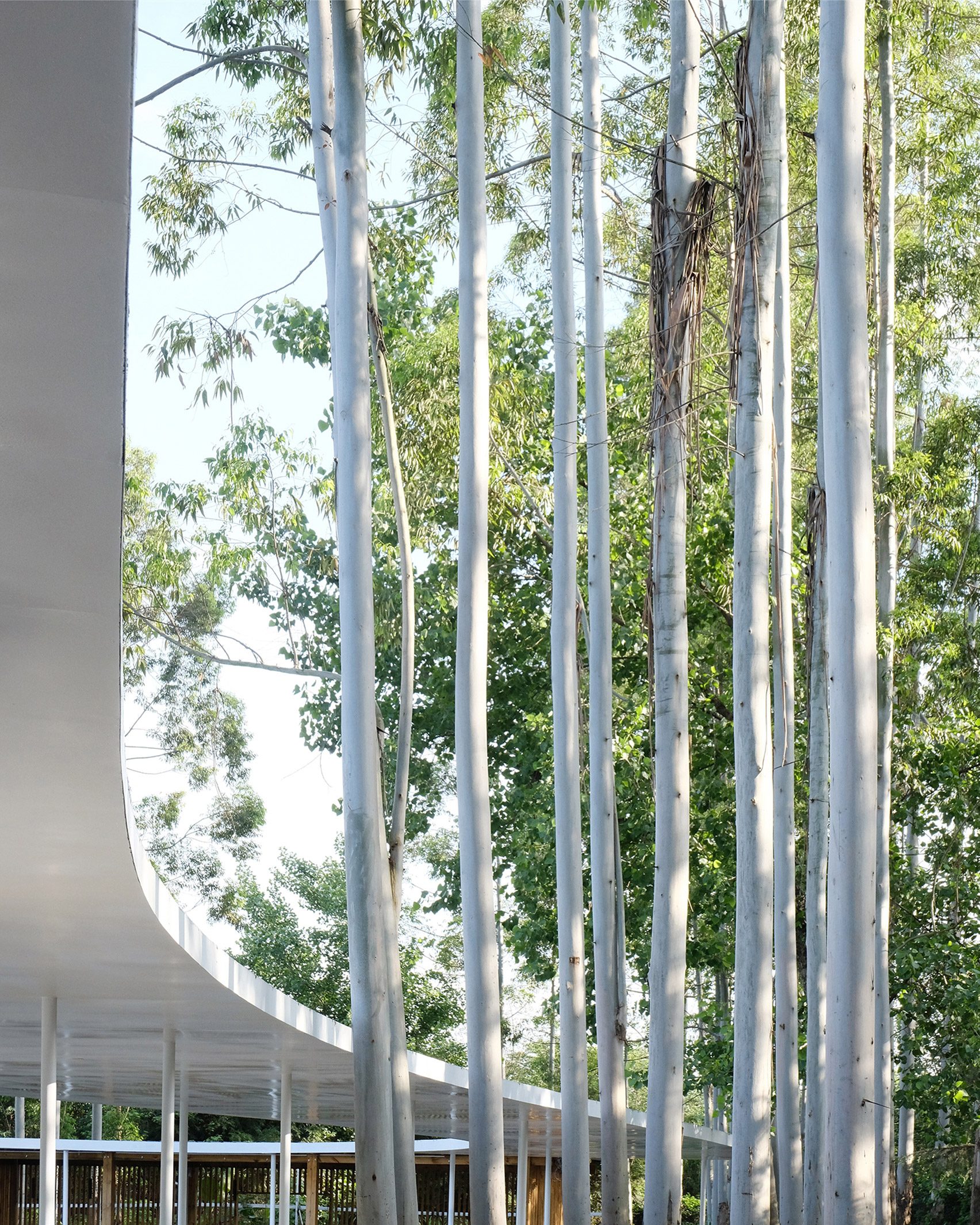 Snaking canopy covers open-air hotpot restaurant in Chinese forest