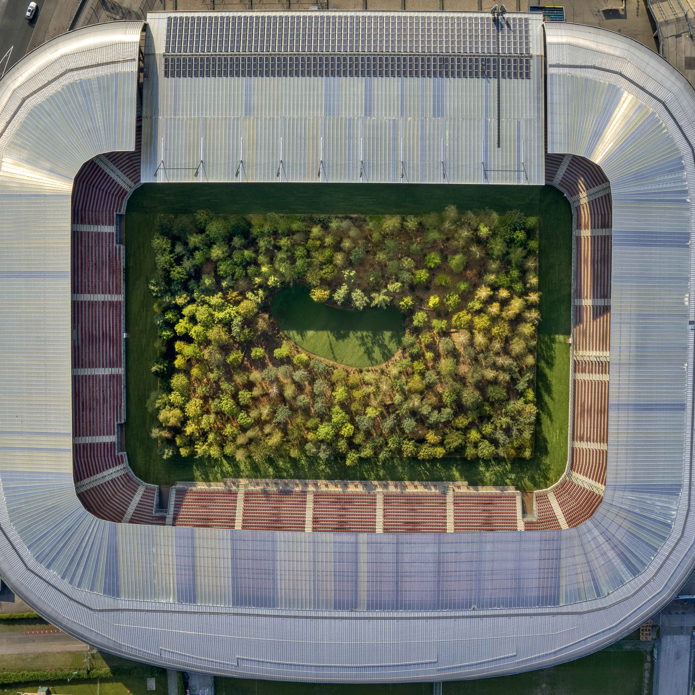 Klaus Littmann plants forest in Austrian football stadium